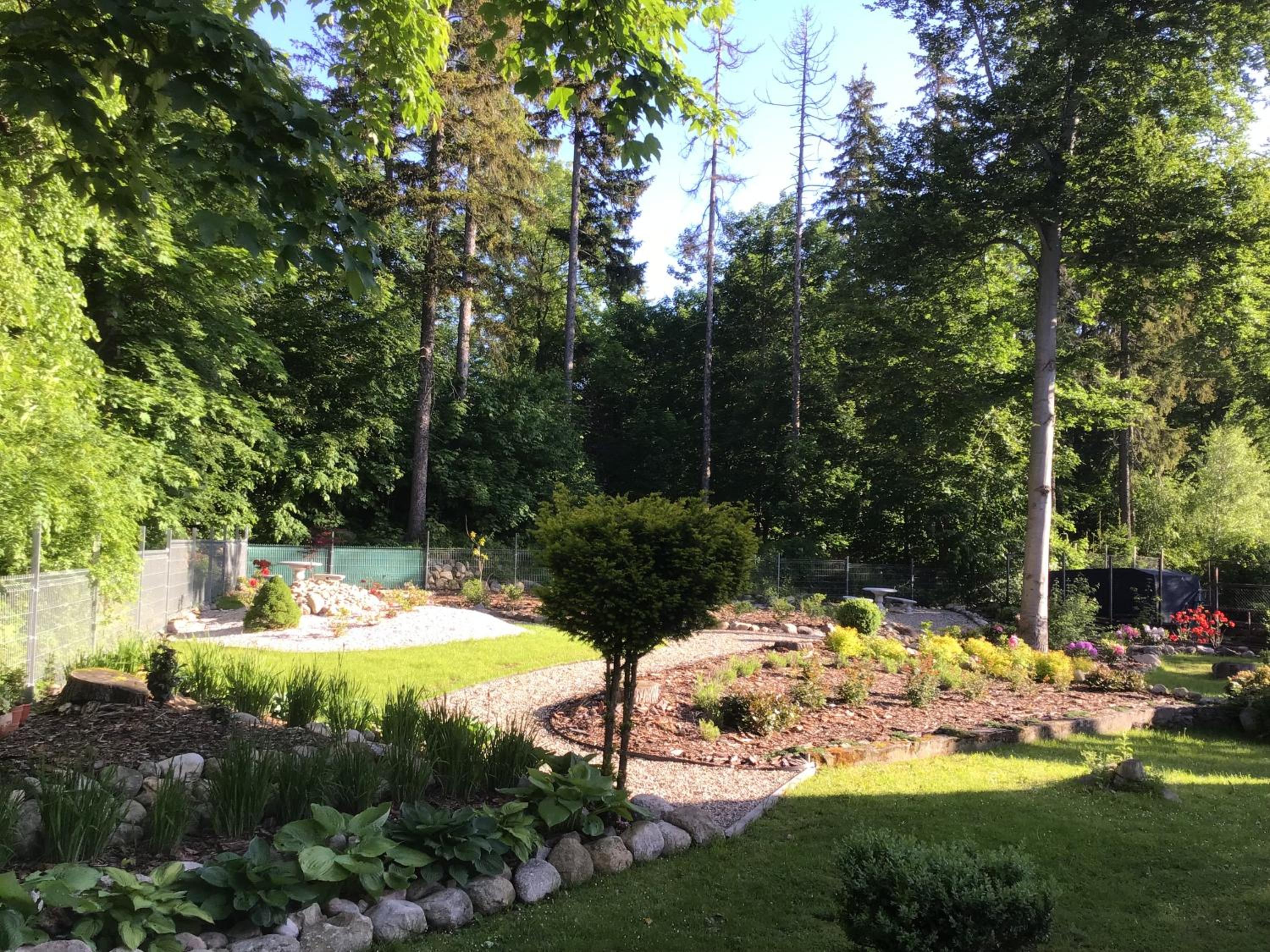 Photo 18