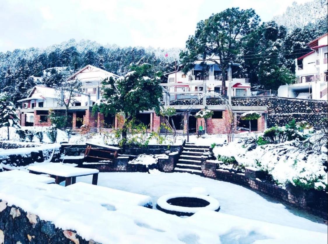 KAFAL TREE Home Stay - PET FRIENDLY, photo 29
