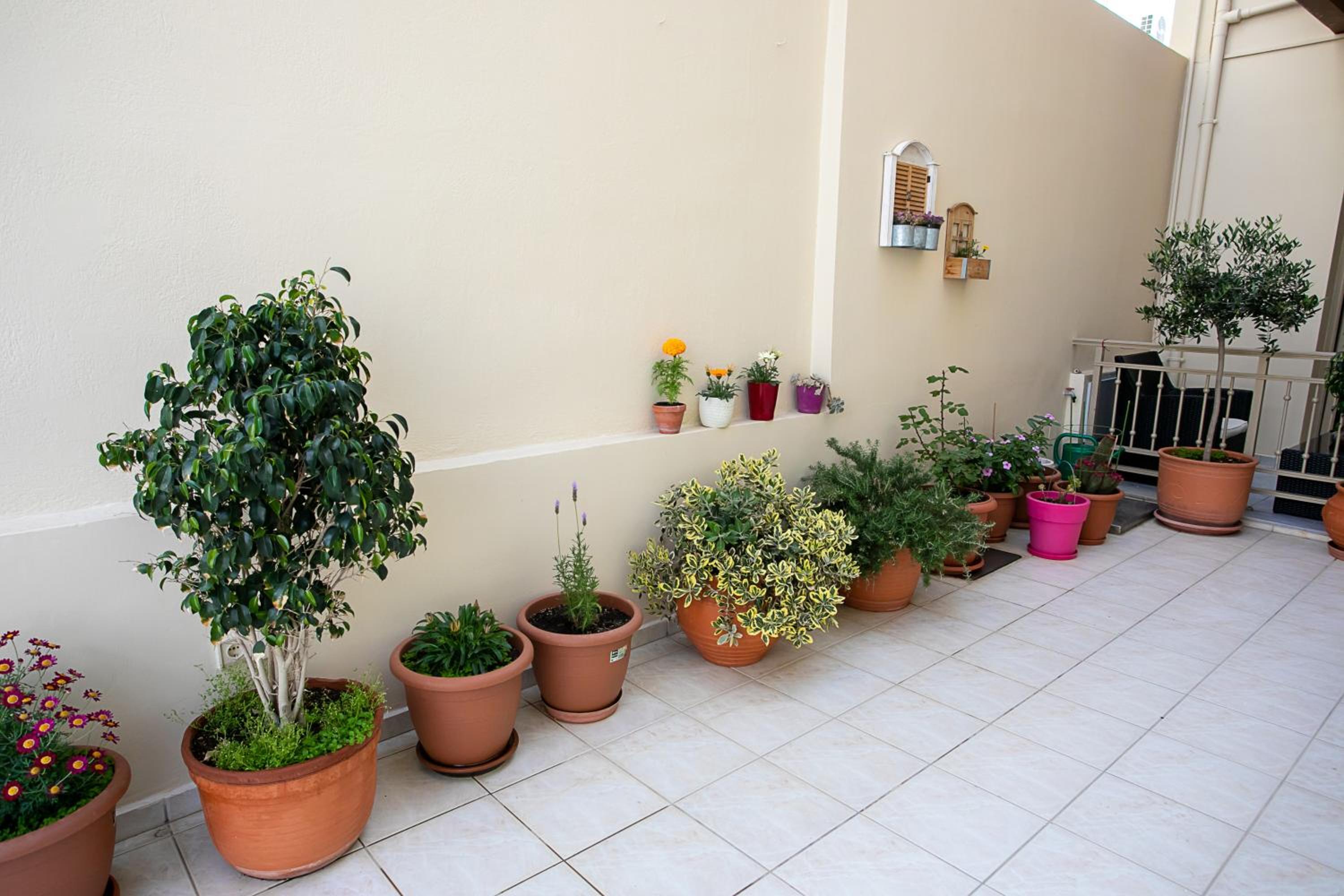 Rania Studios
