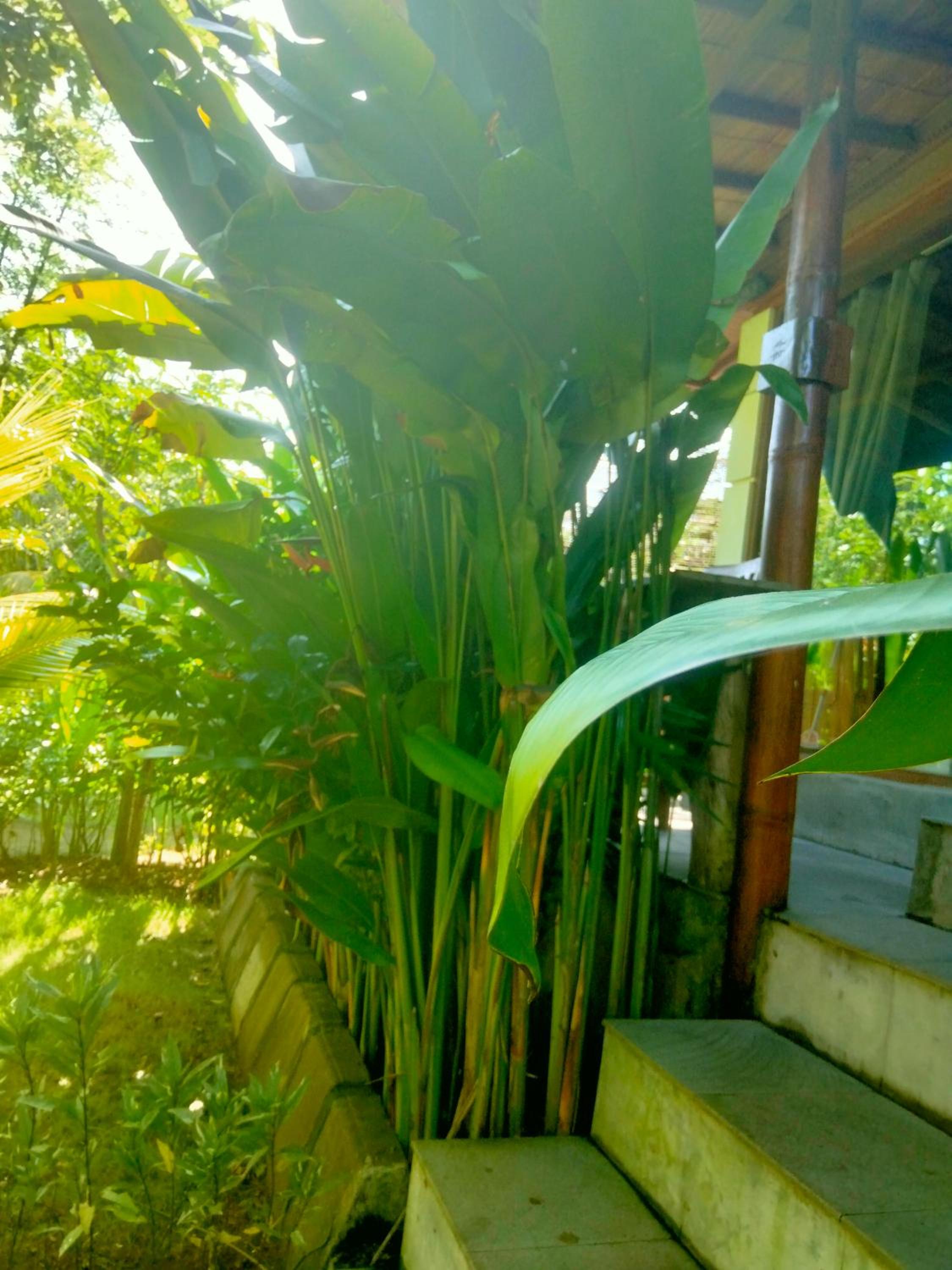 Pier26 Bali Homestay