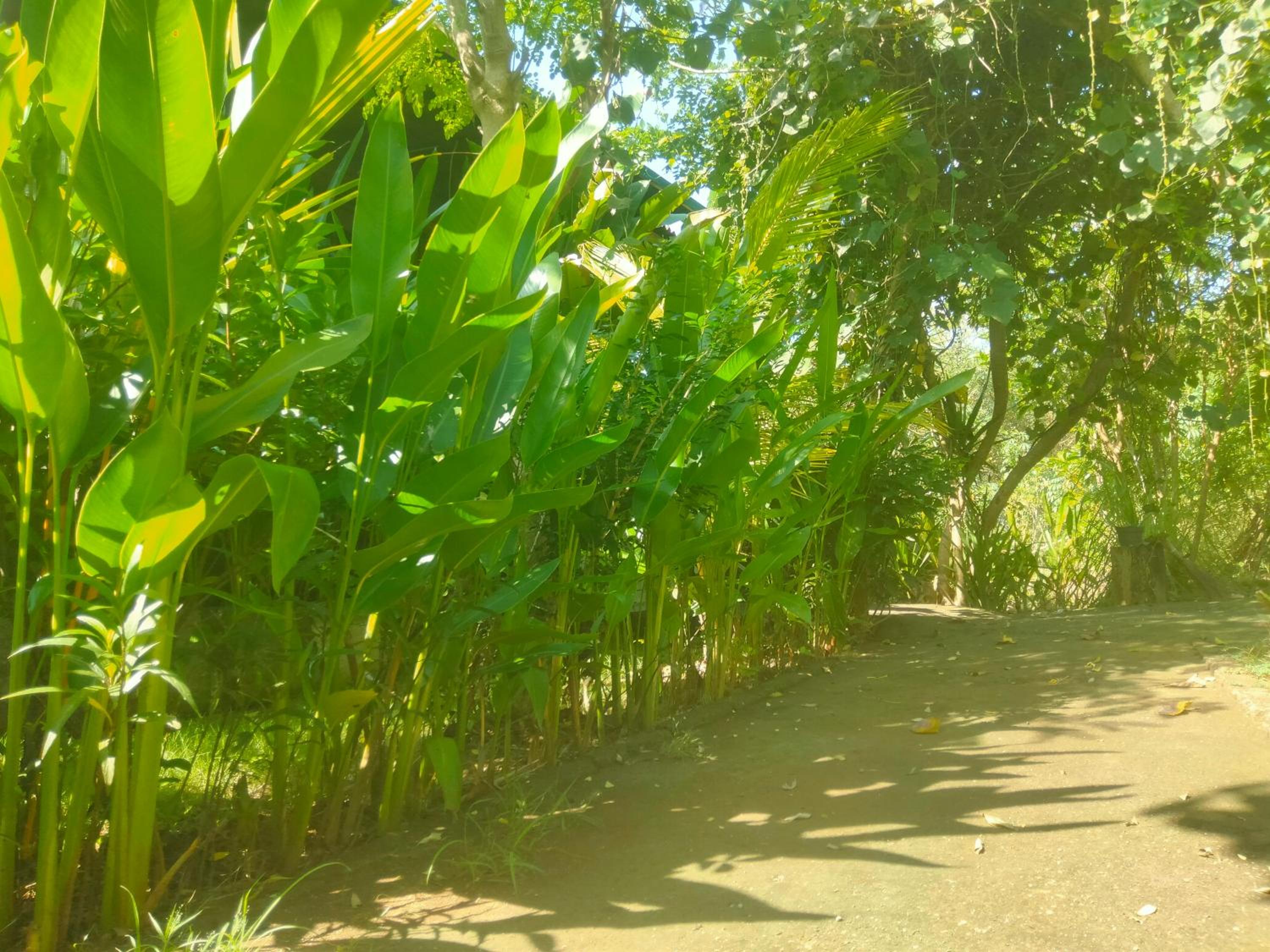 Pier26 Bali Homestay