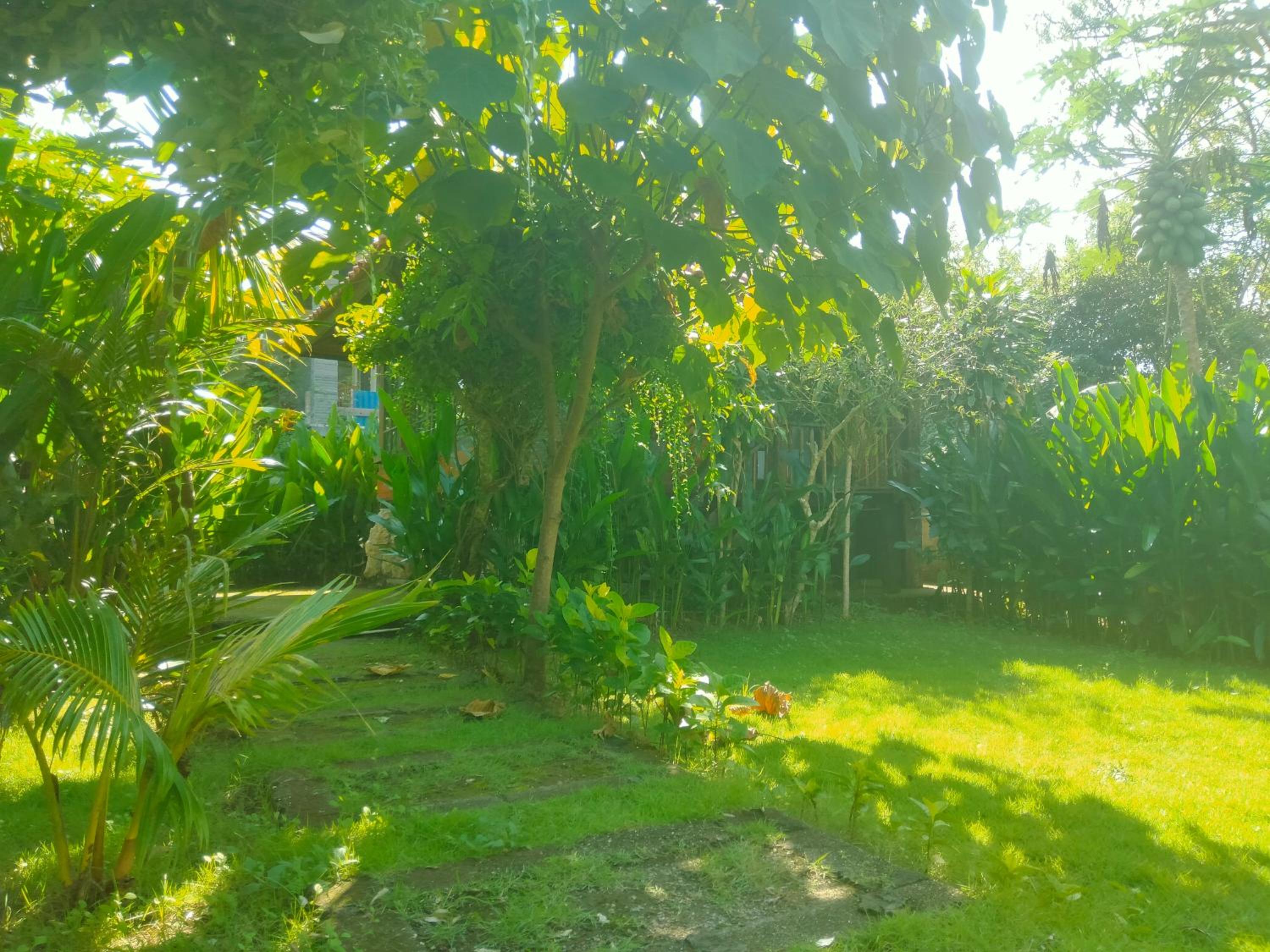 Pier26 Bali Homestay