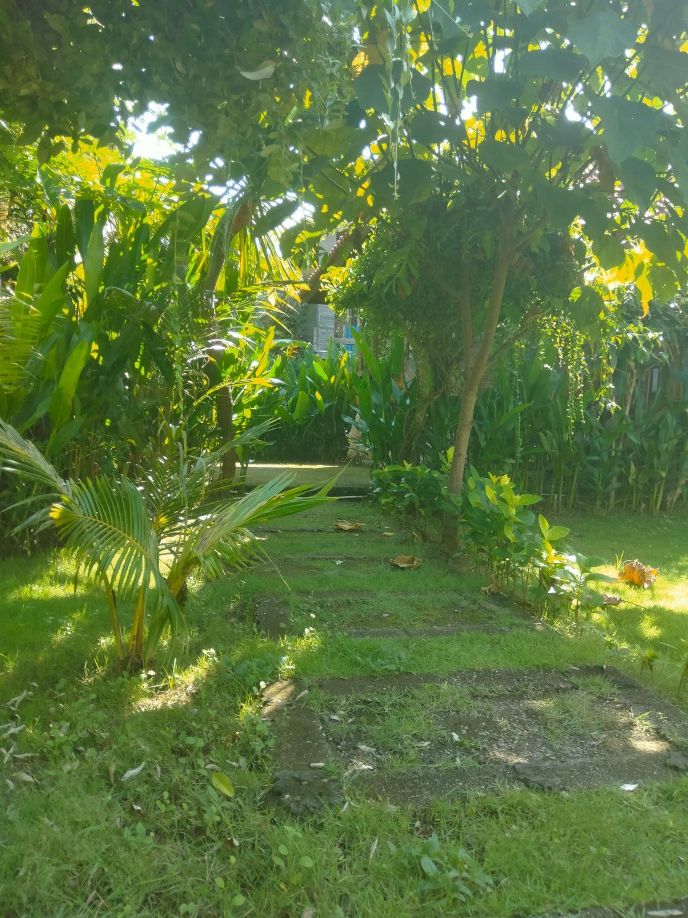Pier26 Bali Homestay
