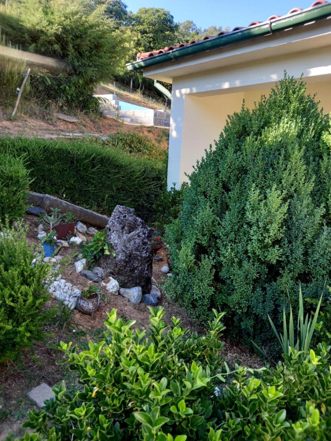 Photo 27