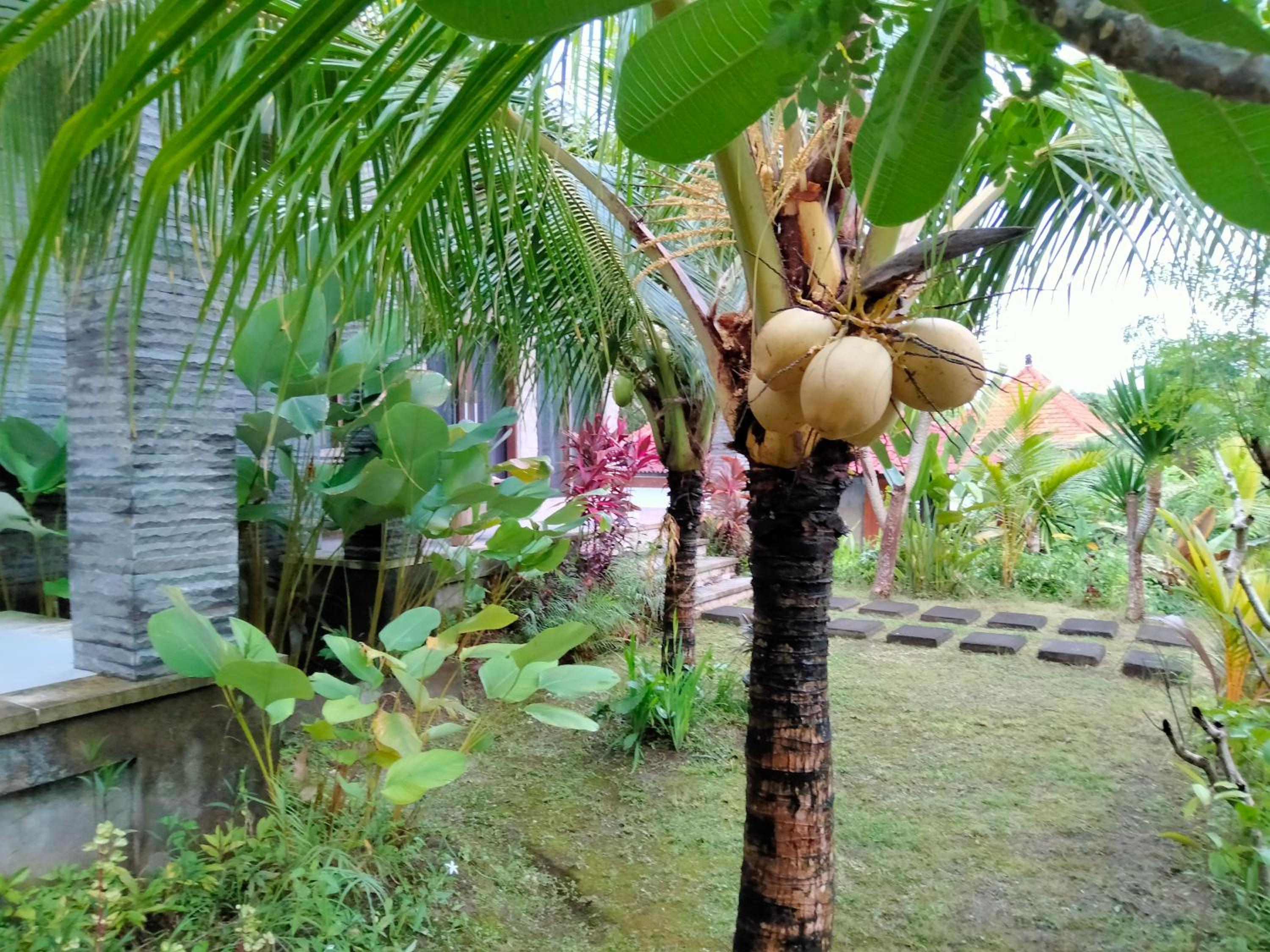 Pier26 Bali Homestay
