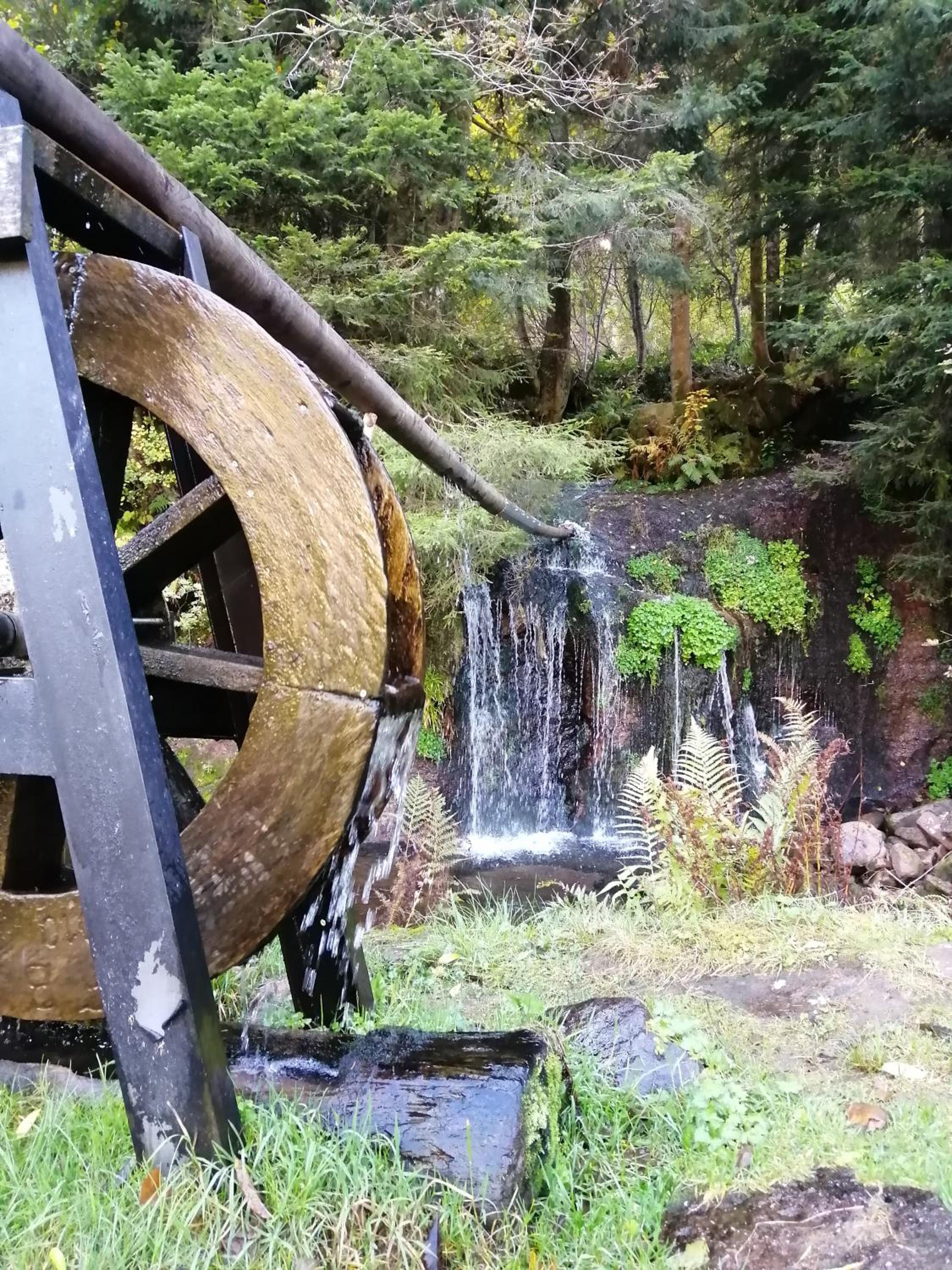 Schwarzwald-Ferienwohnungen Begert
