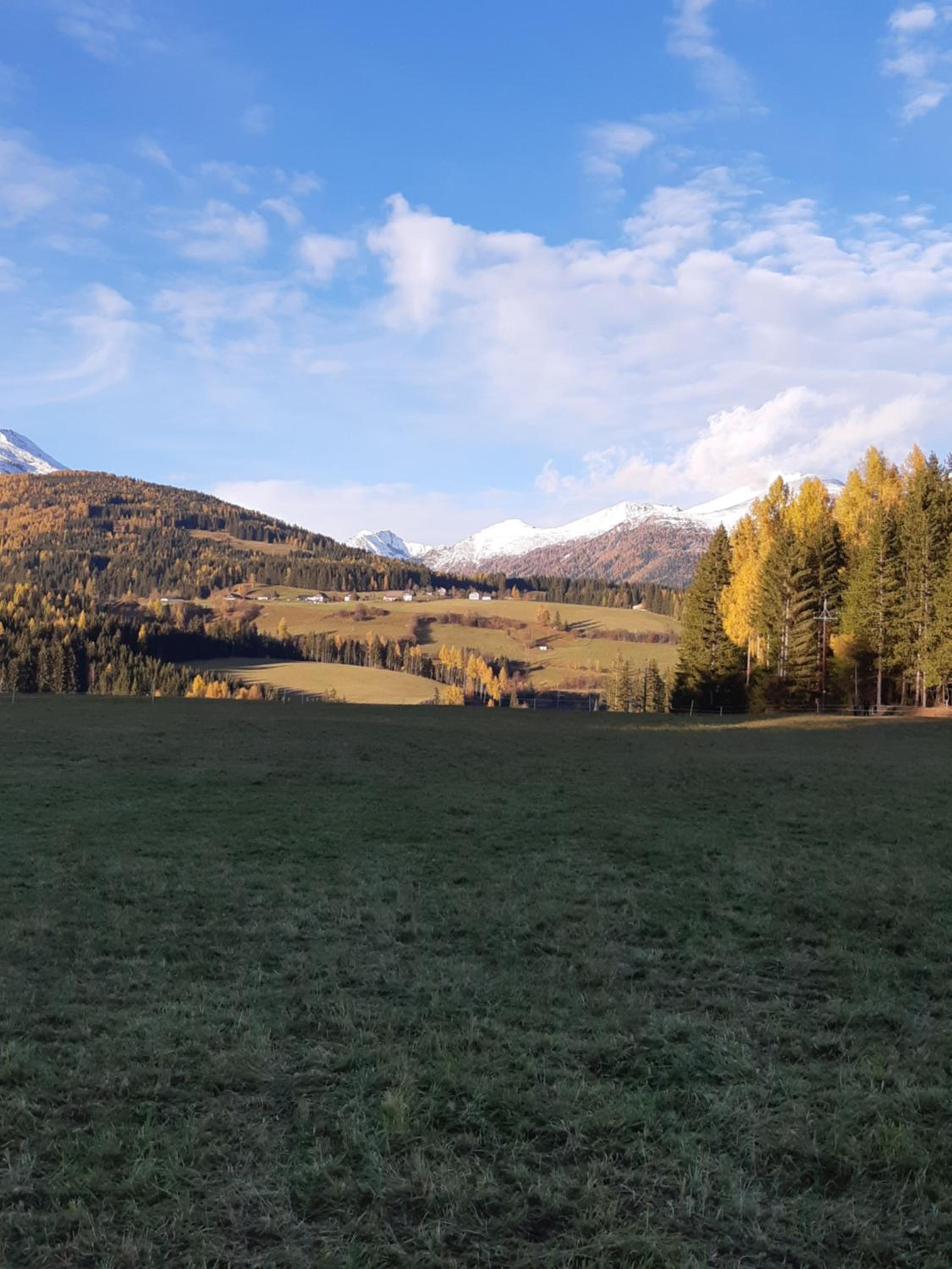 Bio Bauernhof Schoberhof