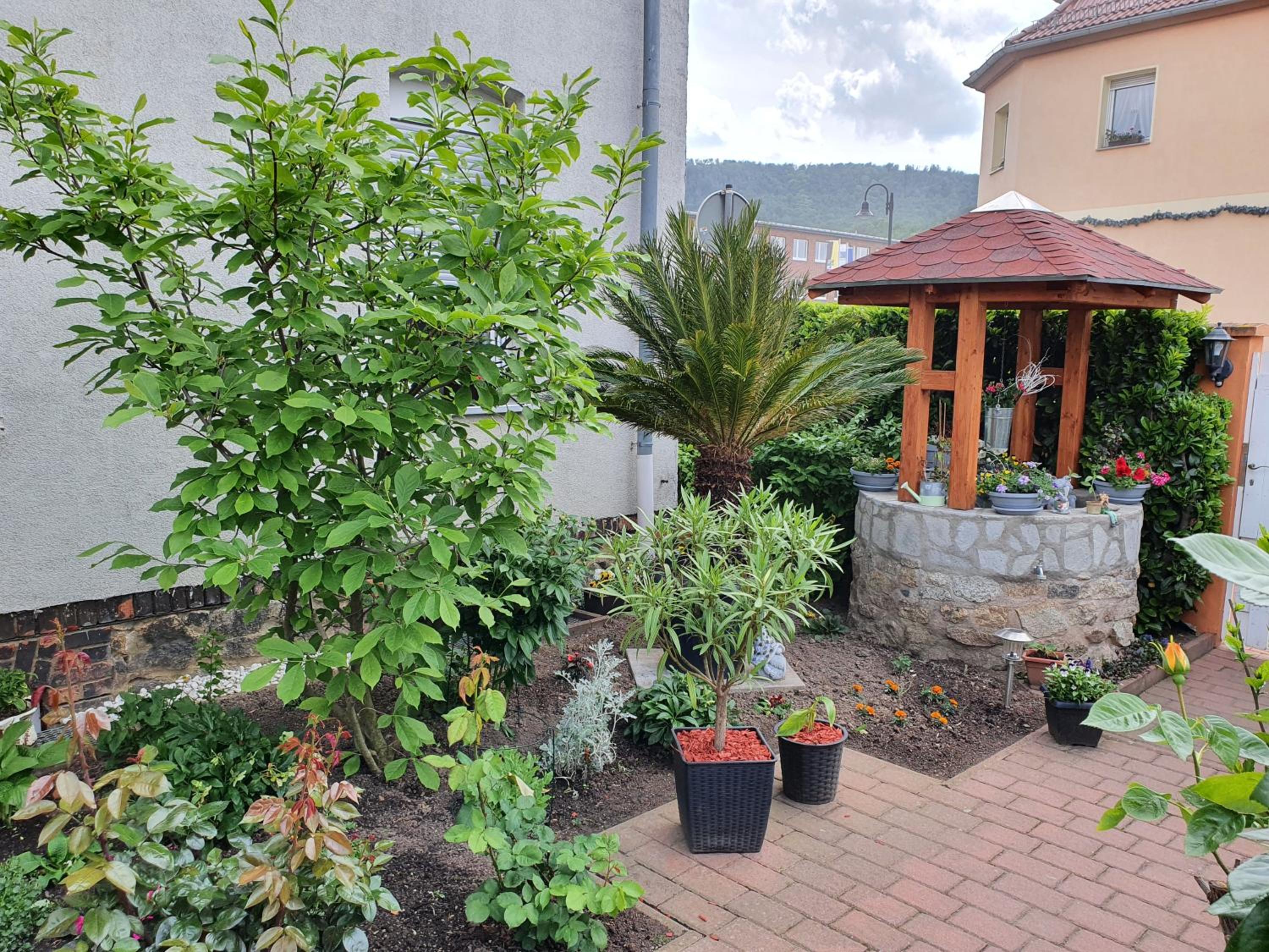 Photo 10