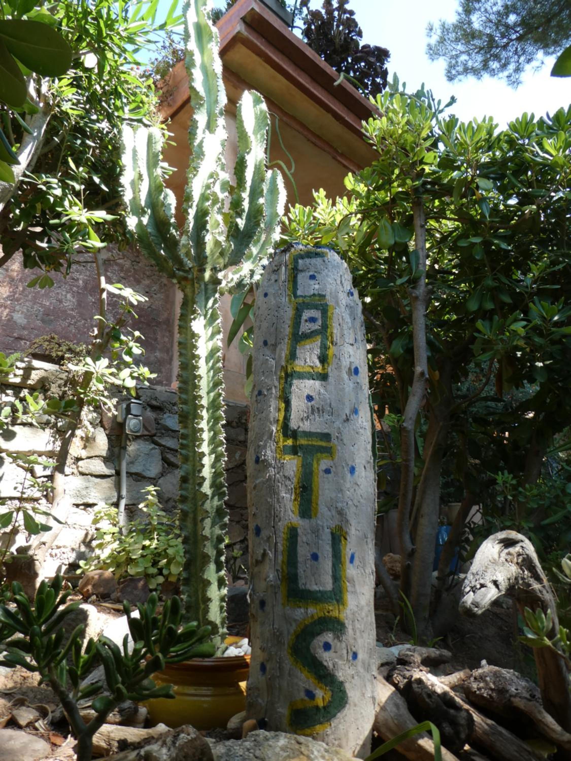 Photo 45