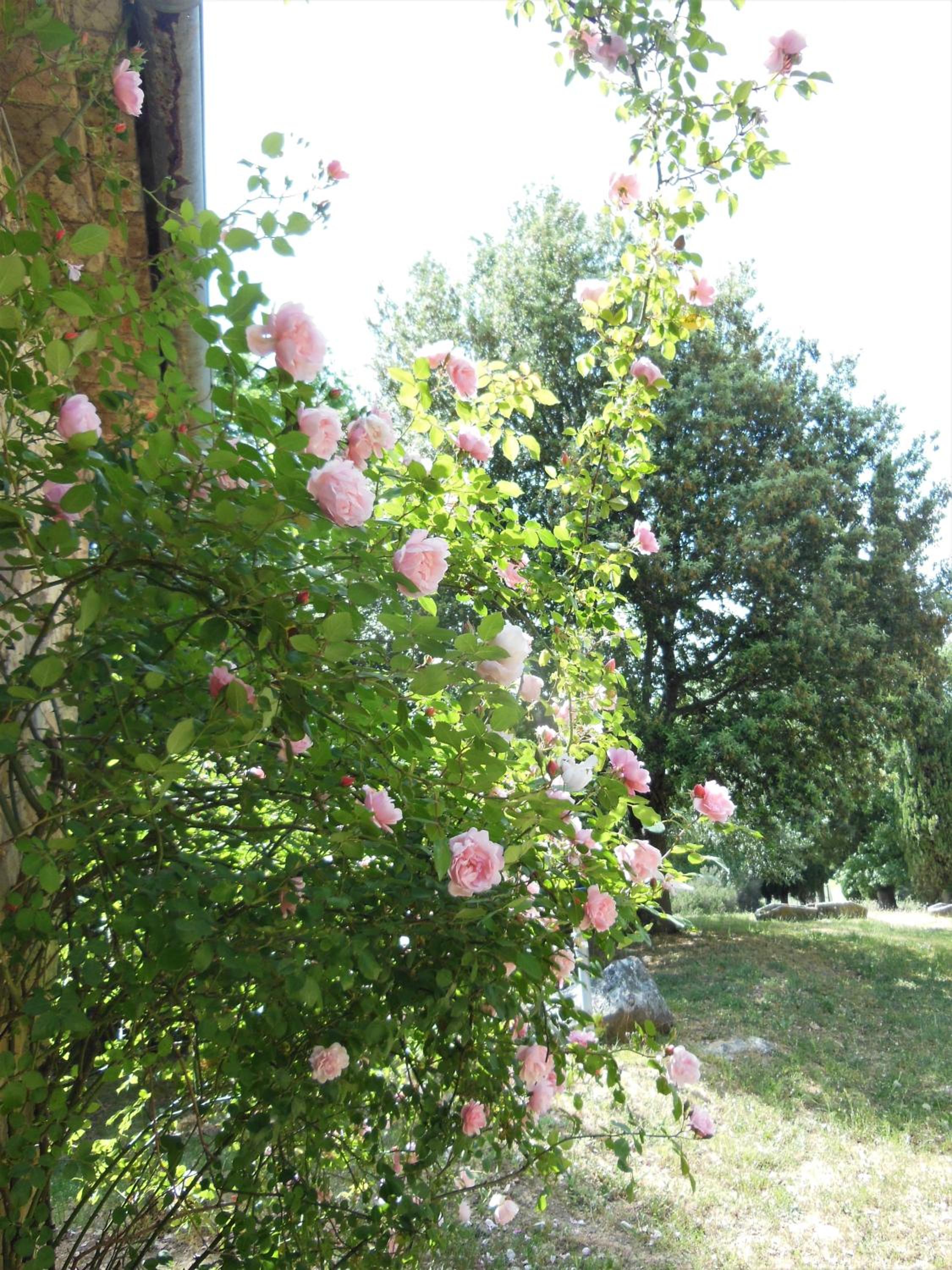 Photo 113