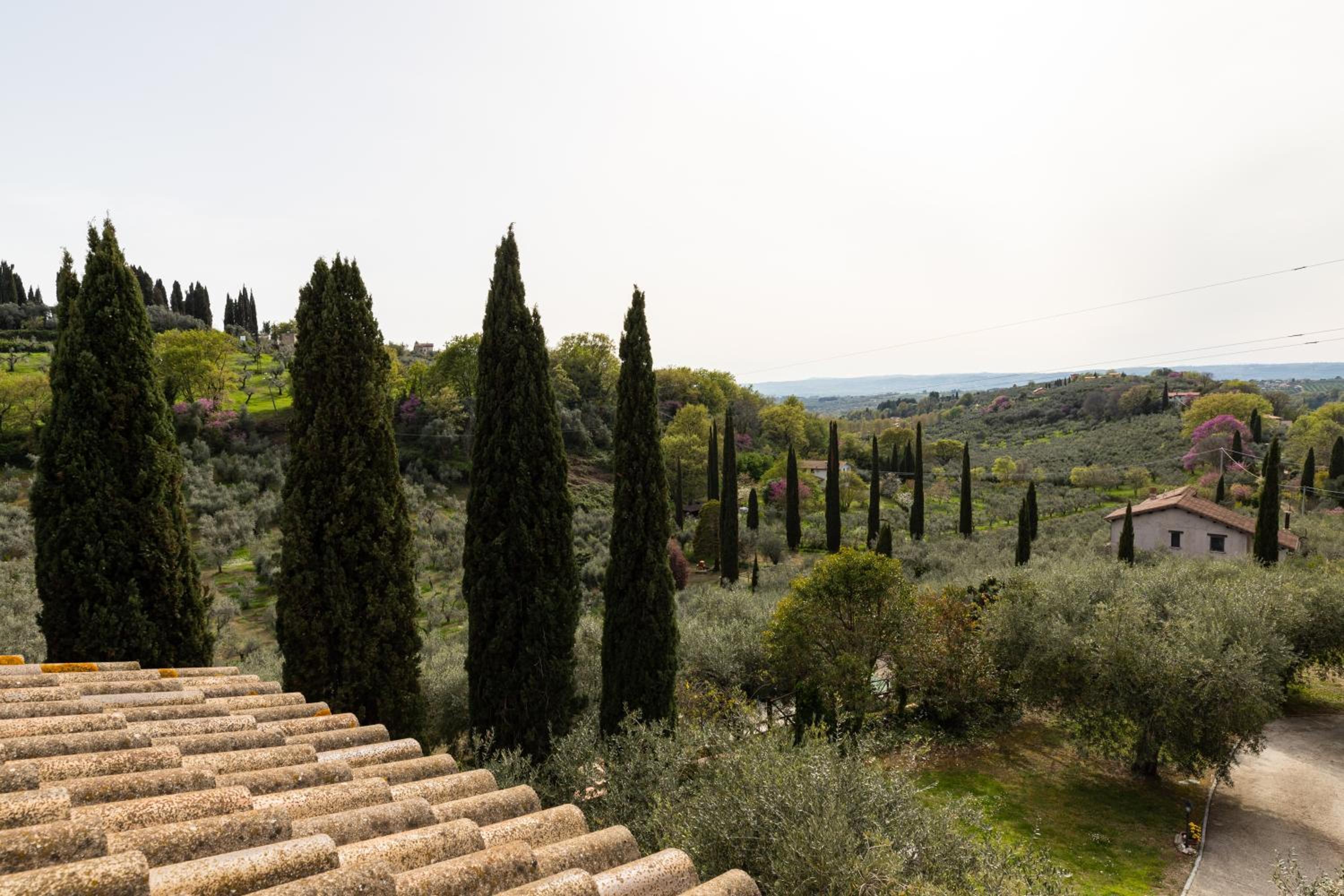 La Tana delle Stelle B&B di Charme e Relax view 3
