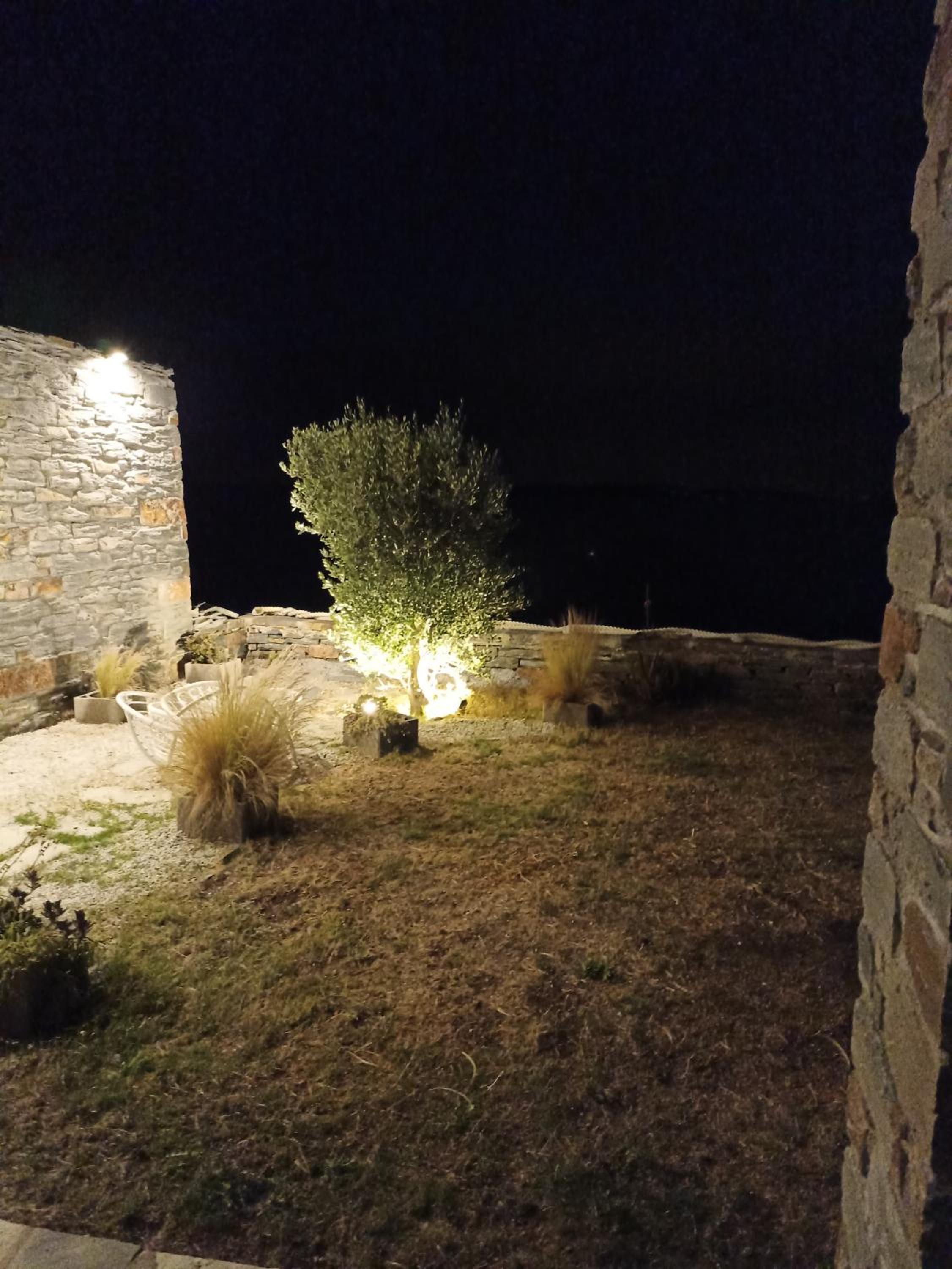 Pelagini