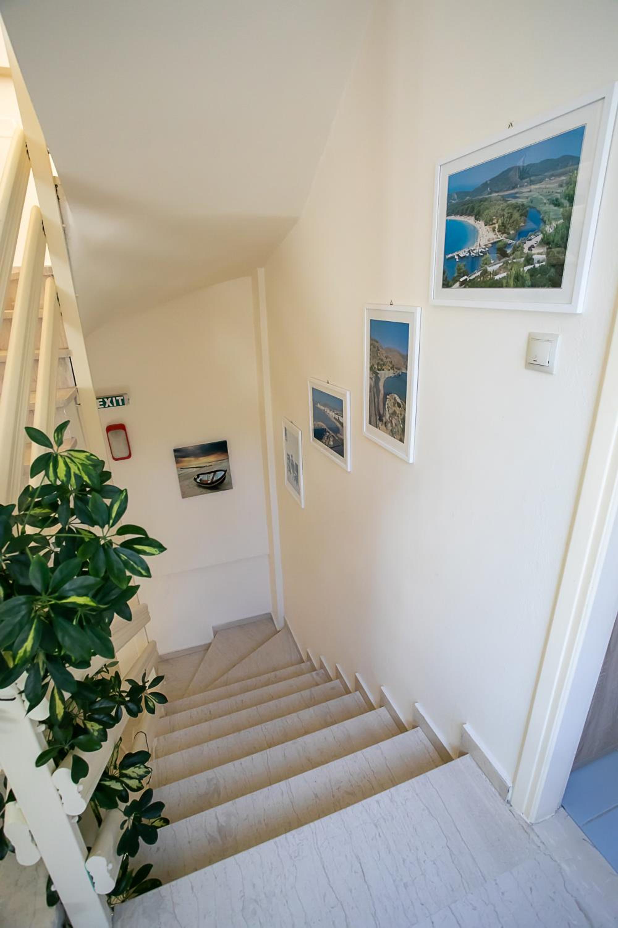 Rania Studios