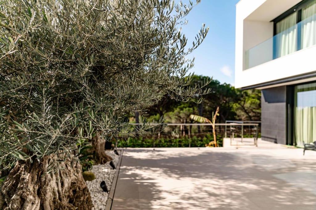 SPA LUXURY VILLA *****