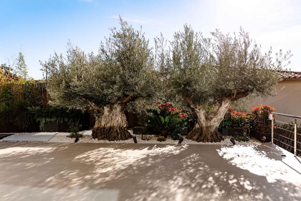 SPA LUXURY VILLA *****