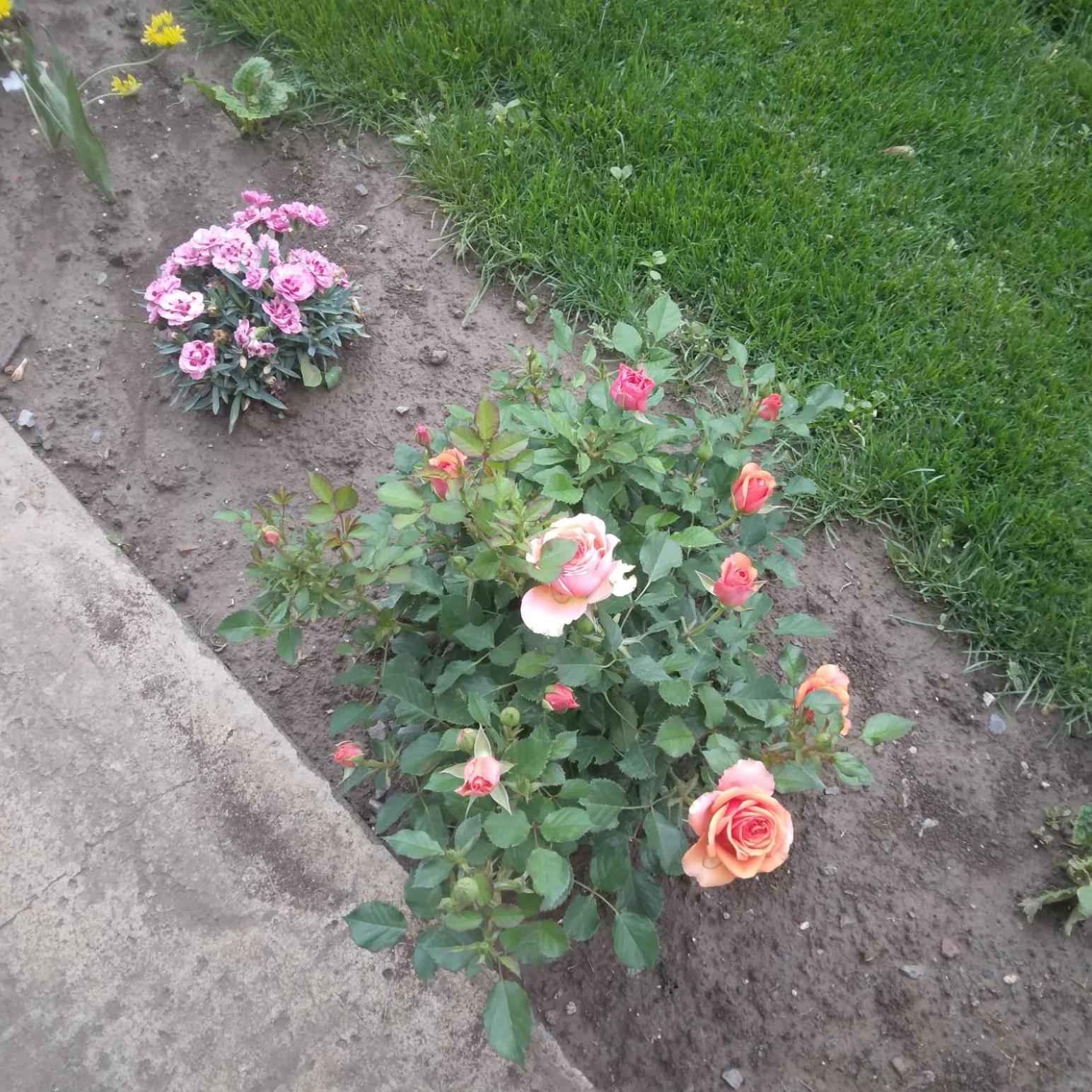 Photo 25