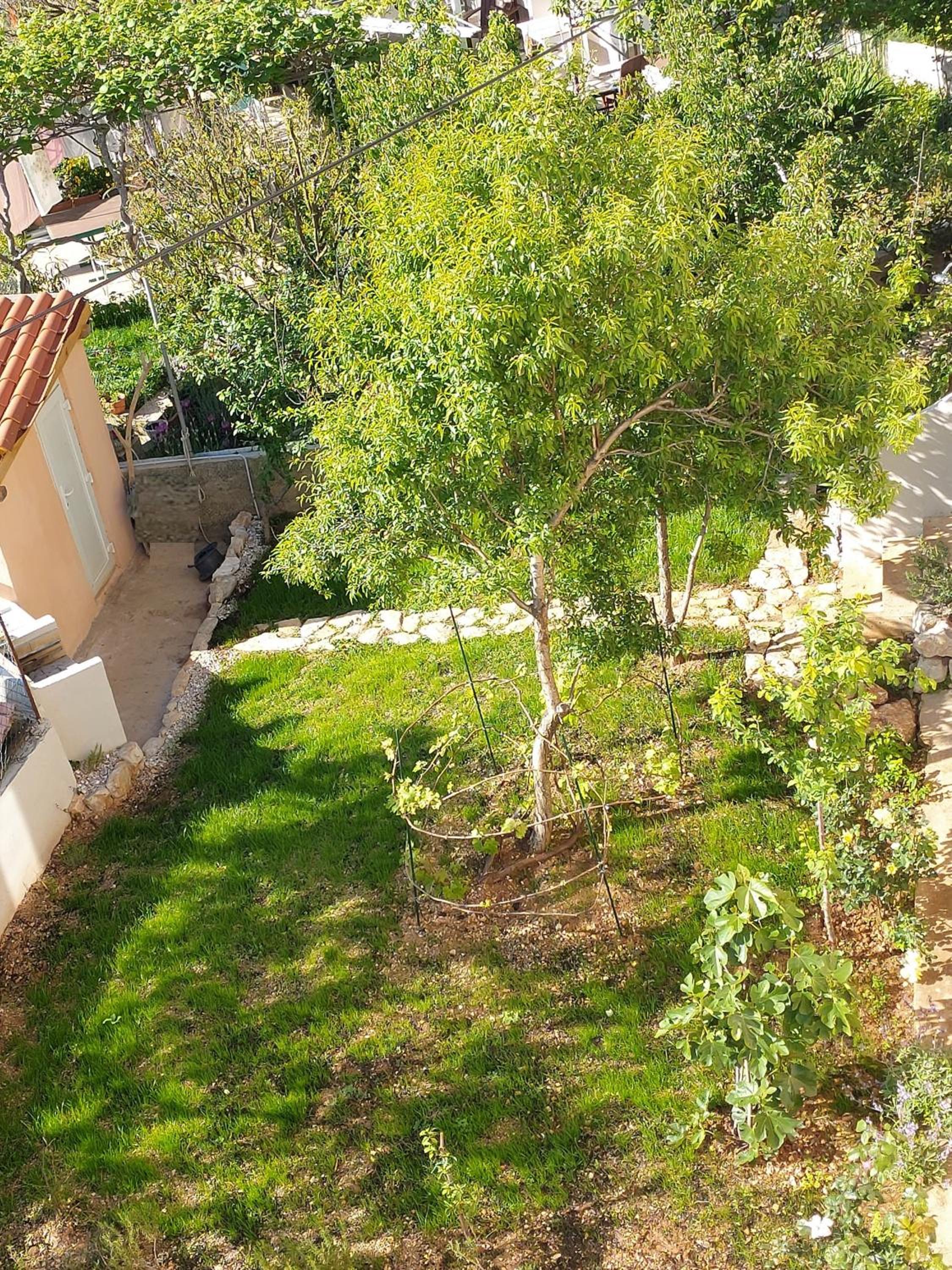 Photo 27