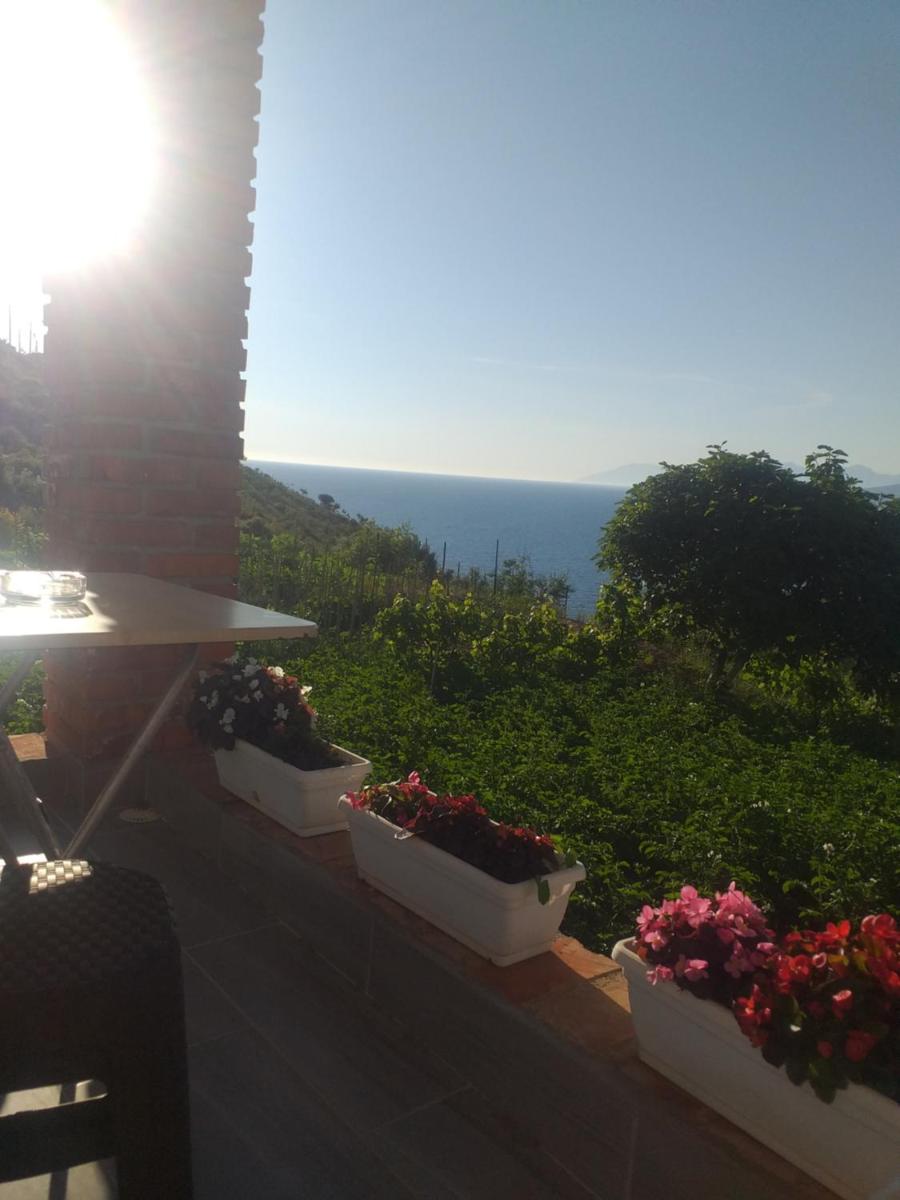 Grand Seaview Apartments
