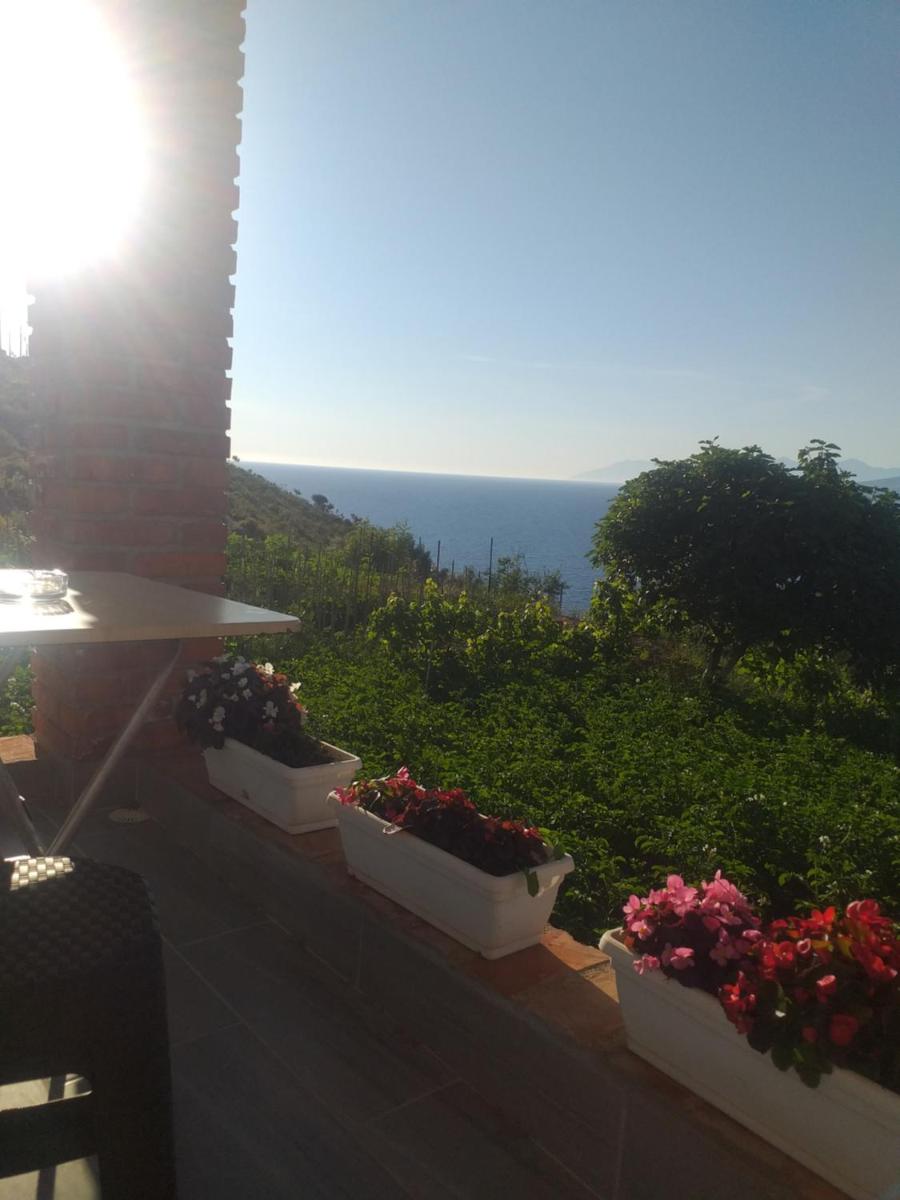 Grand Seaview Apartments