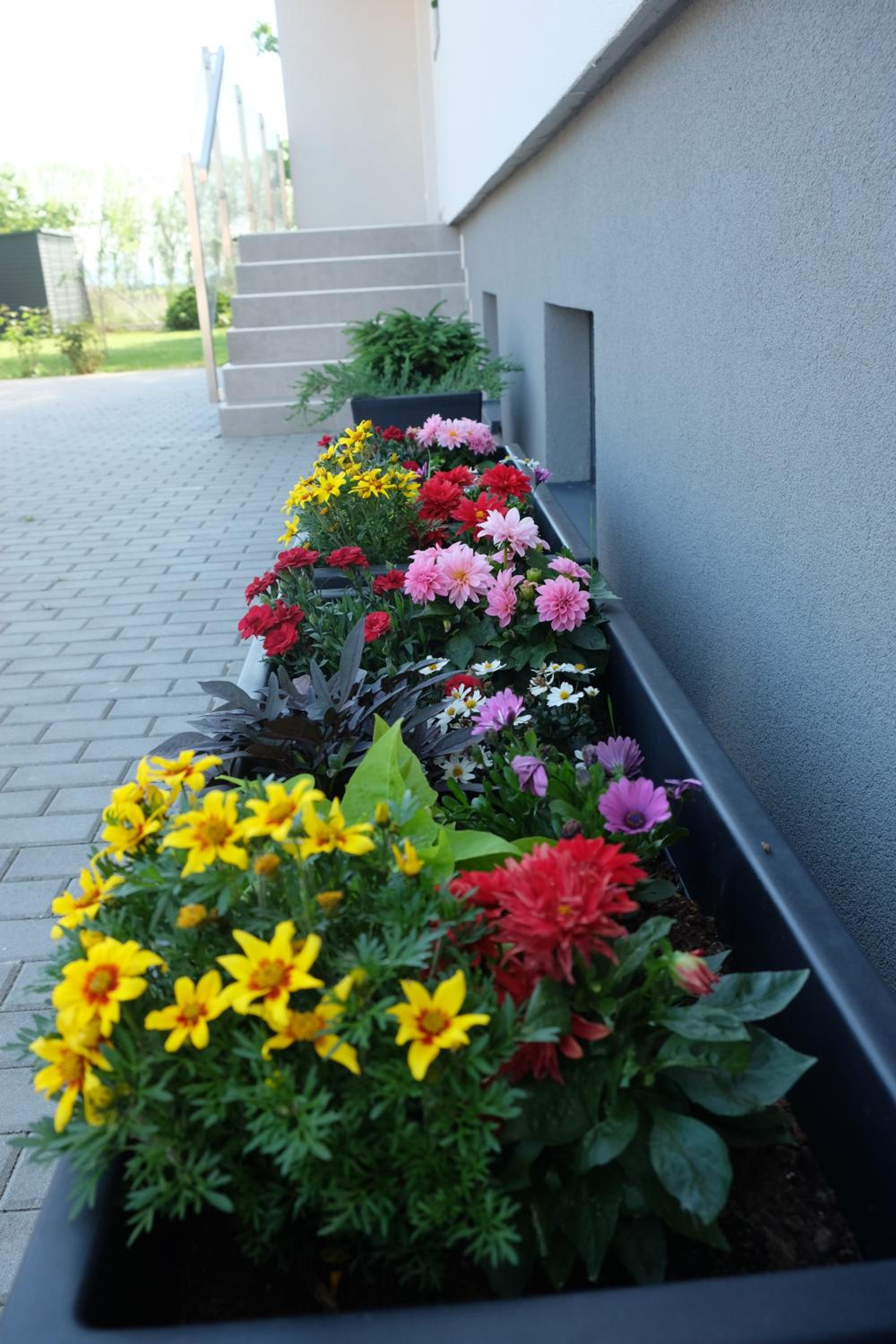Photo 47
