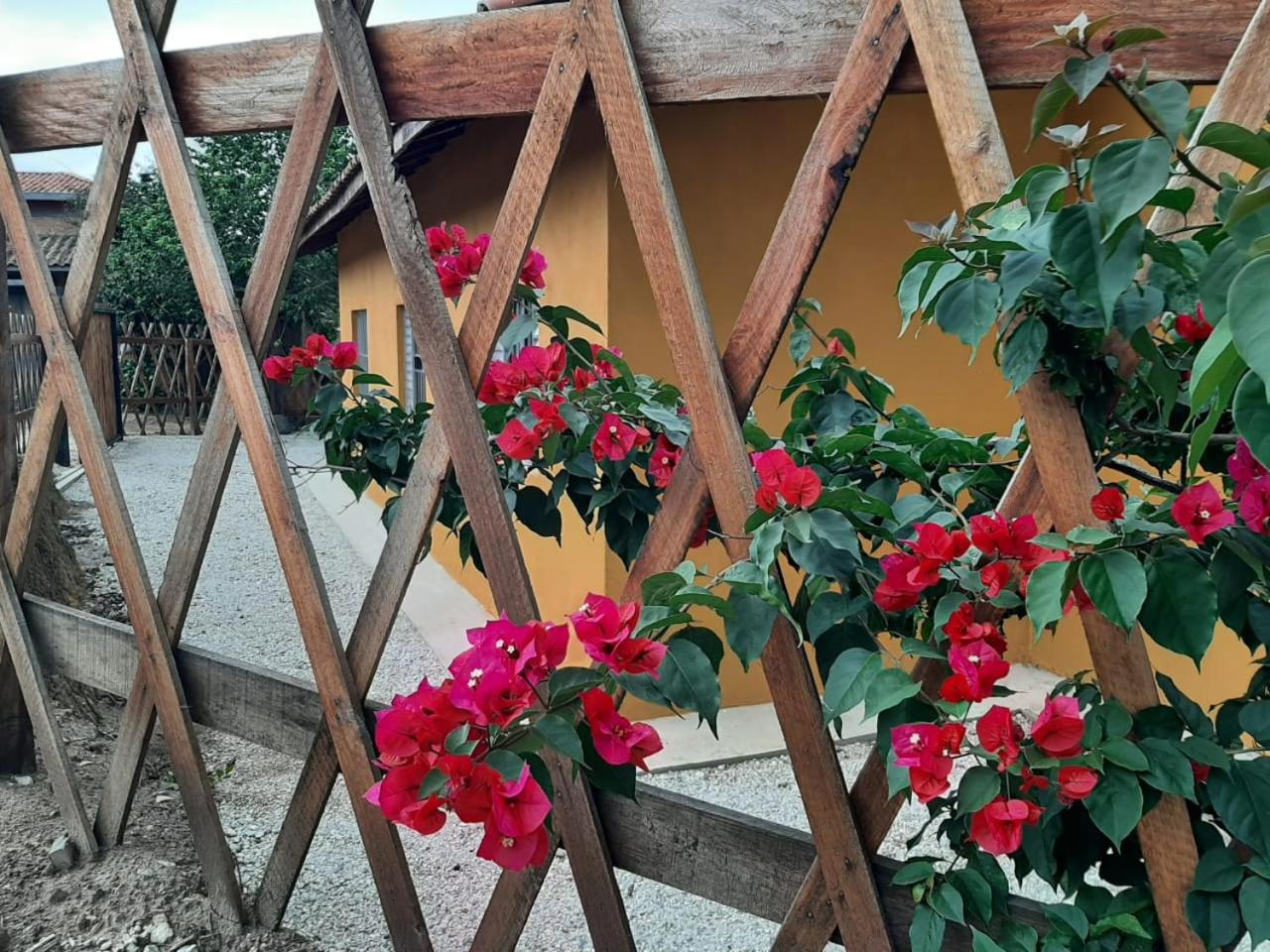 Casa Kiiro, um ambiente tranquilo e de sossego.