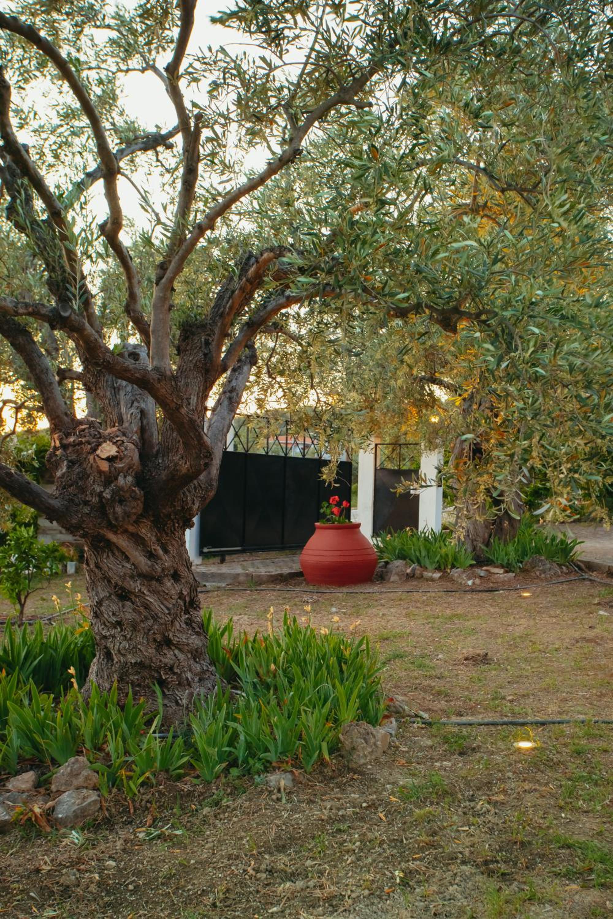 Photo 8