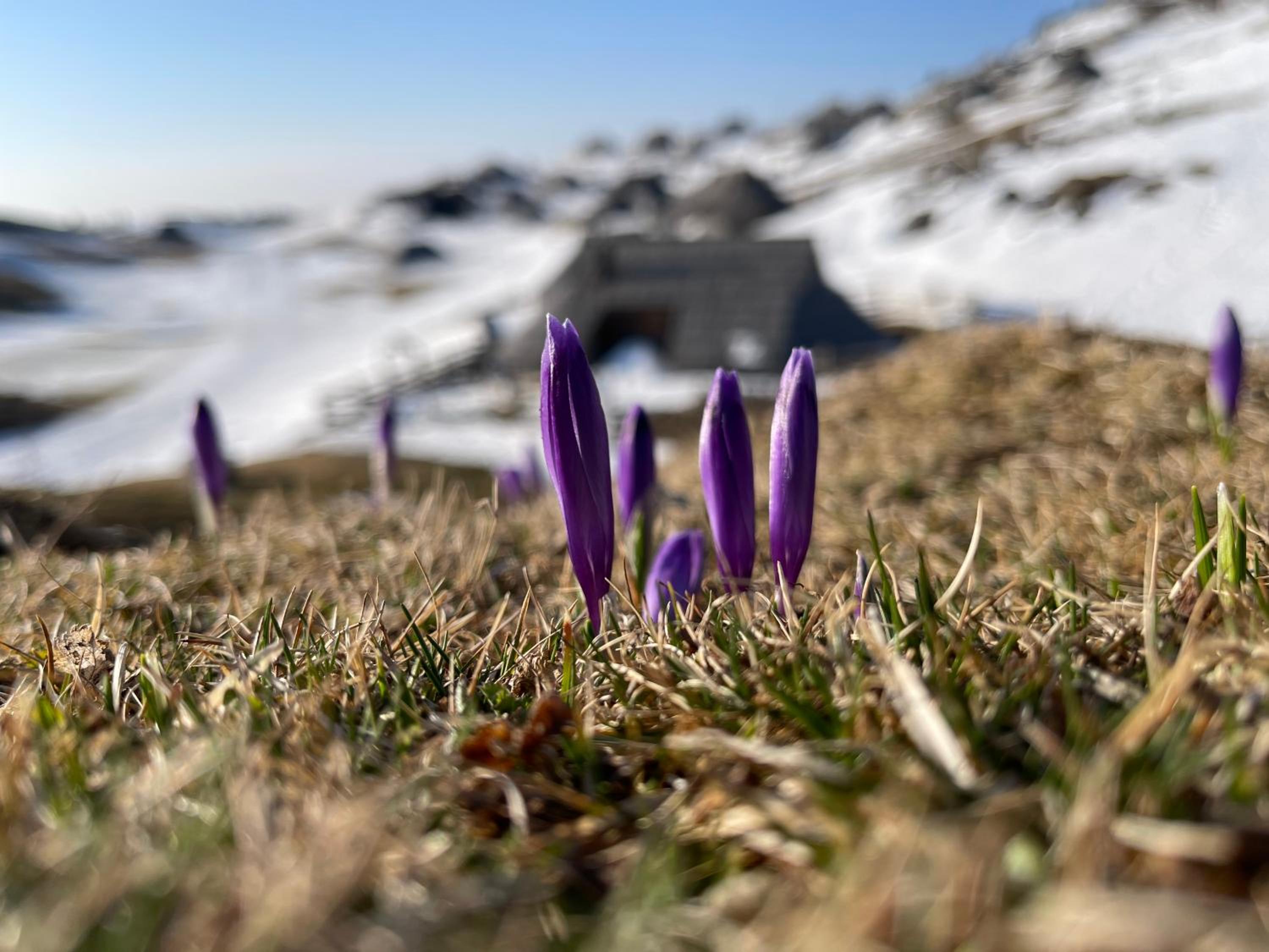 Velika planina Chalet SLOVENKA view 2