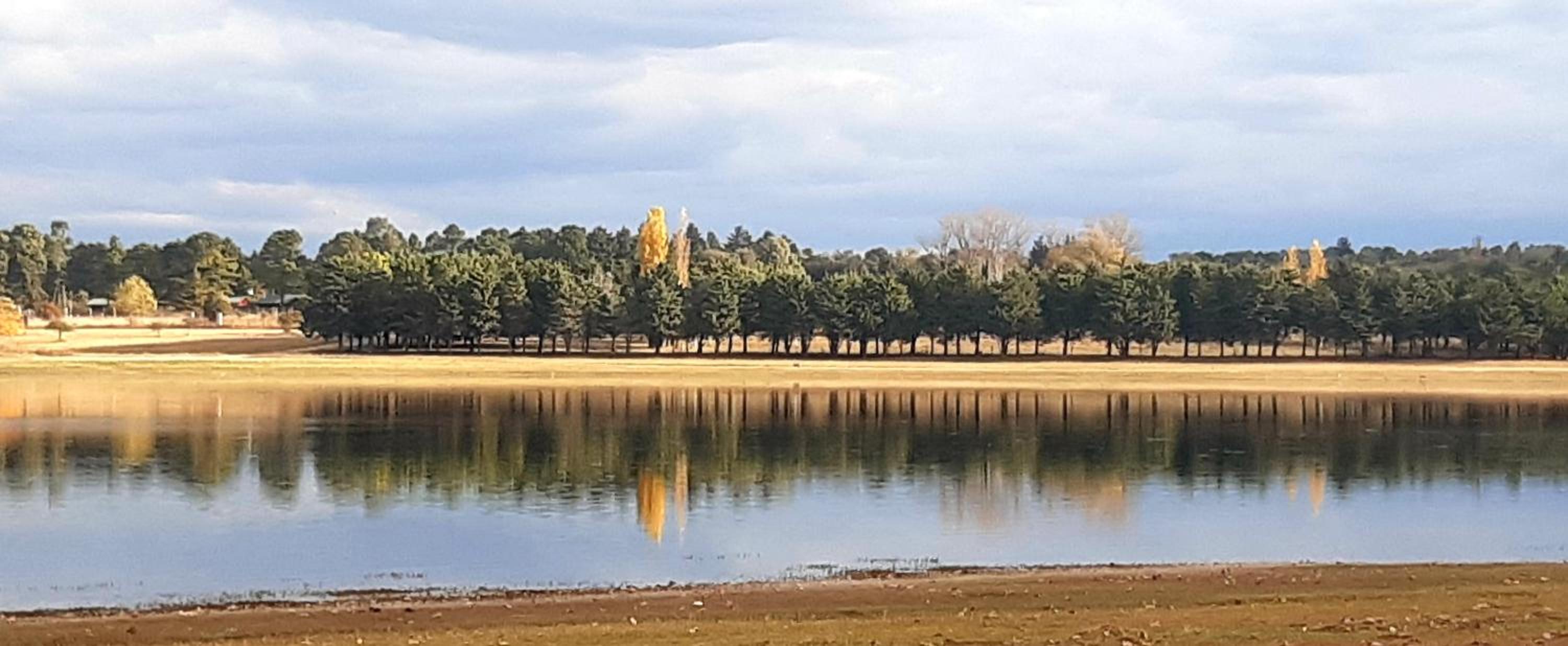 La Argentina Complejo