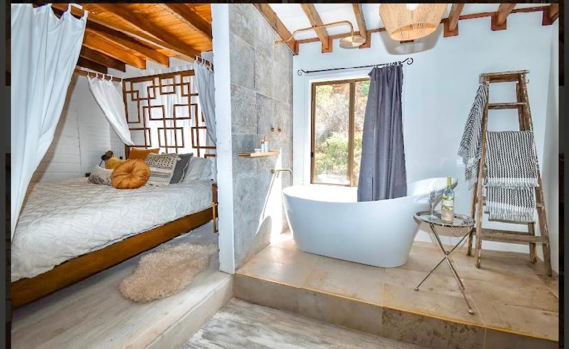 Le Petit Chateau Homestead Bridgetown