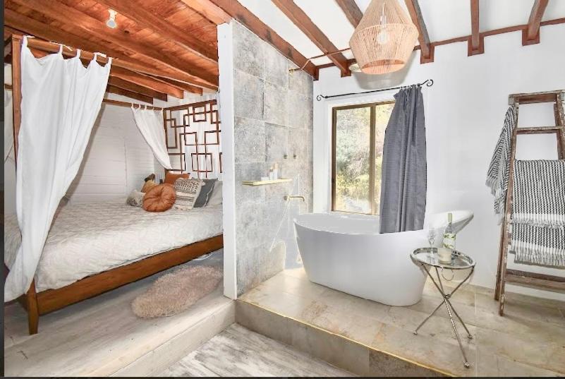 Le Petit Chateau Homestead Bridgetown