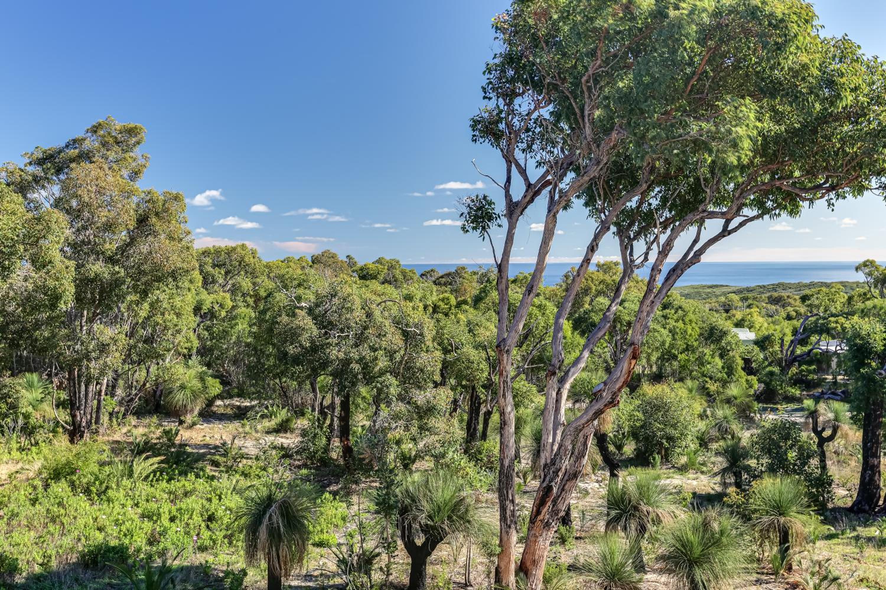 Carpe Artes -architectural bushland home, Marg Riv
