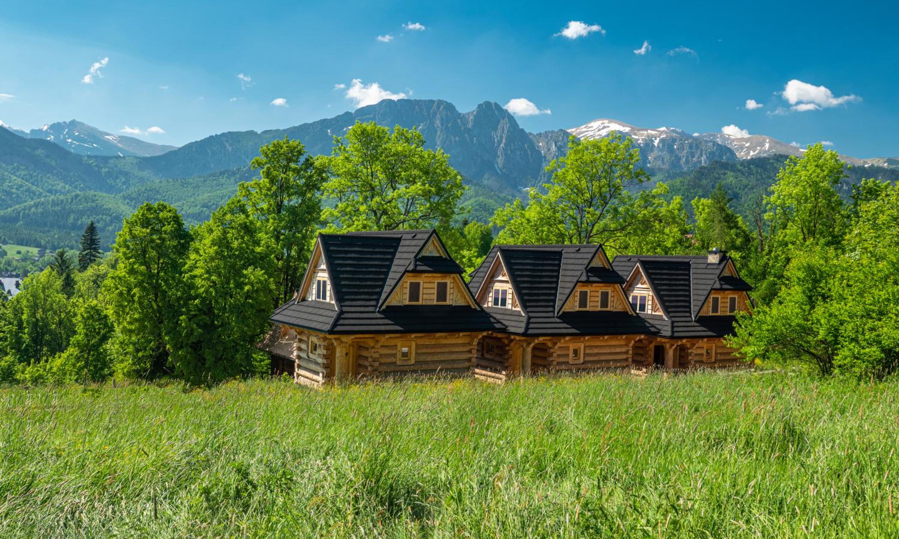 Osada Gąsienica Centrum Zakopane view 5