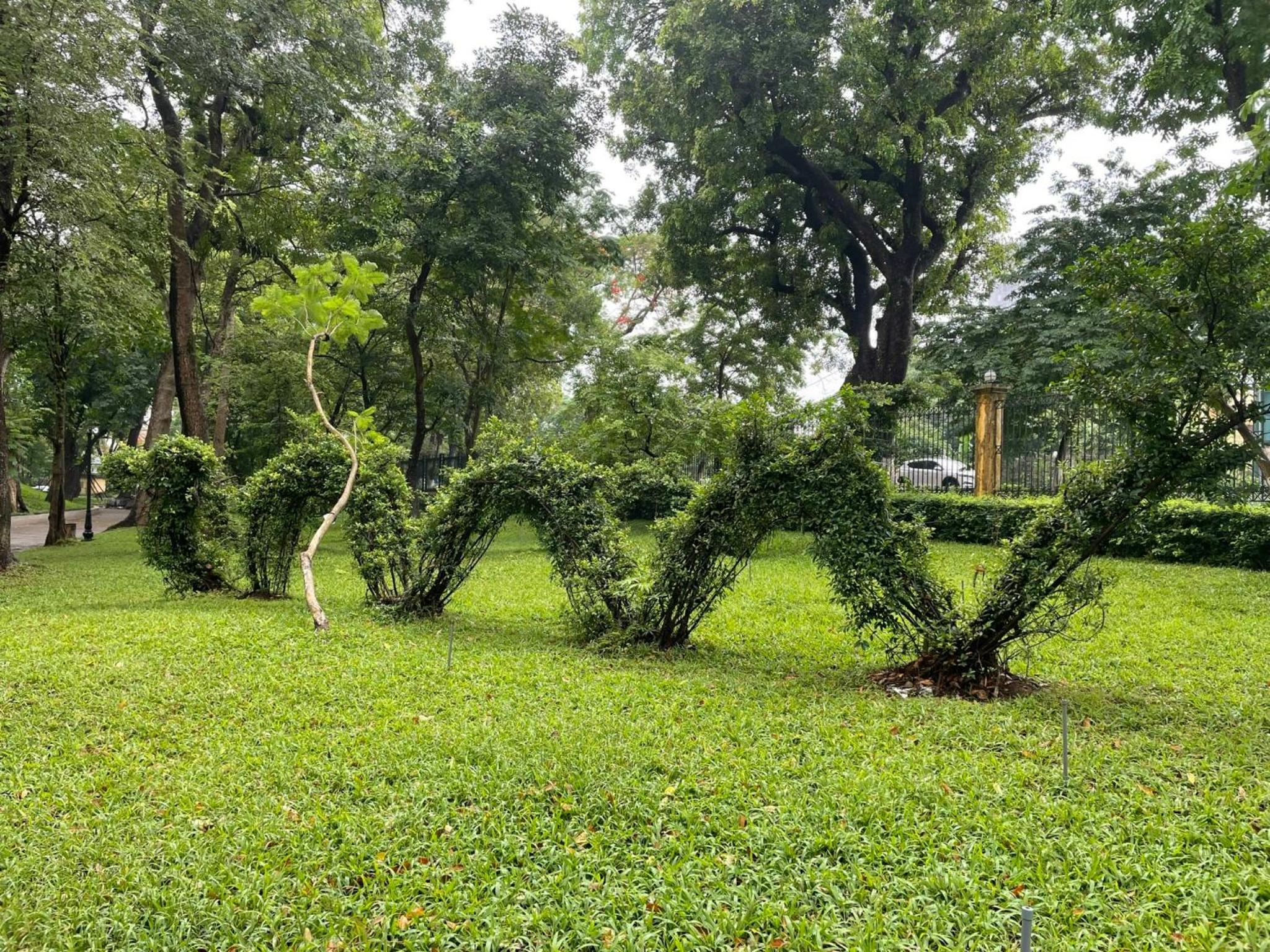 Eco Nest