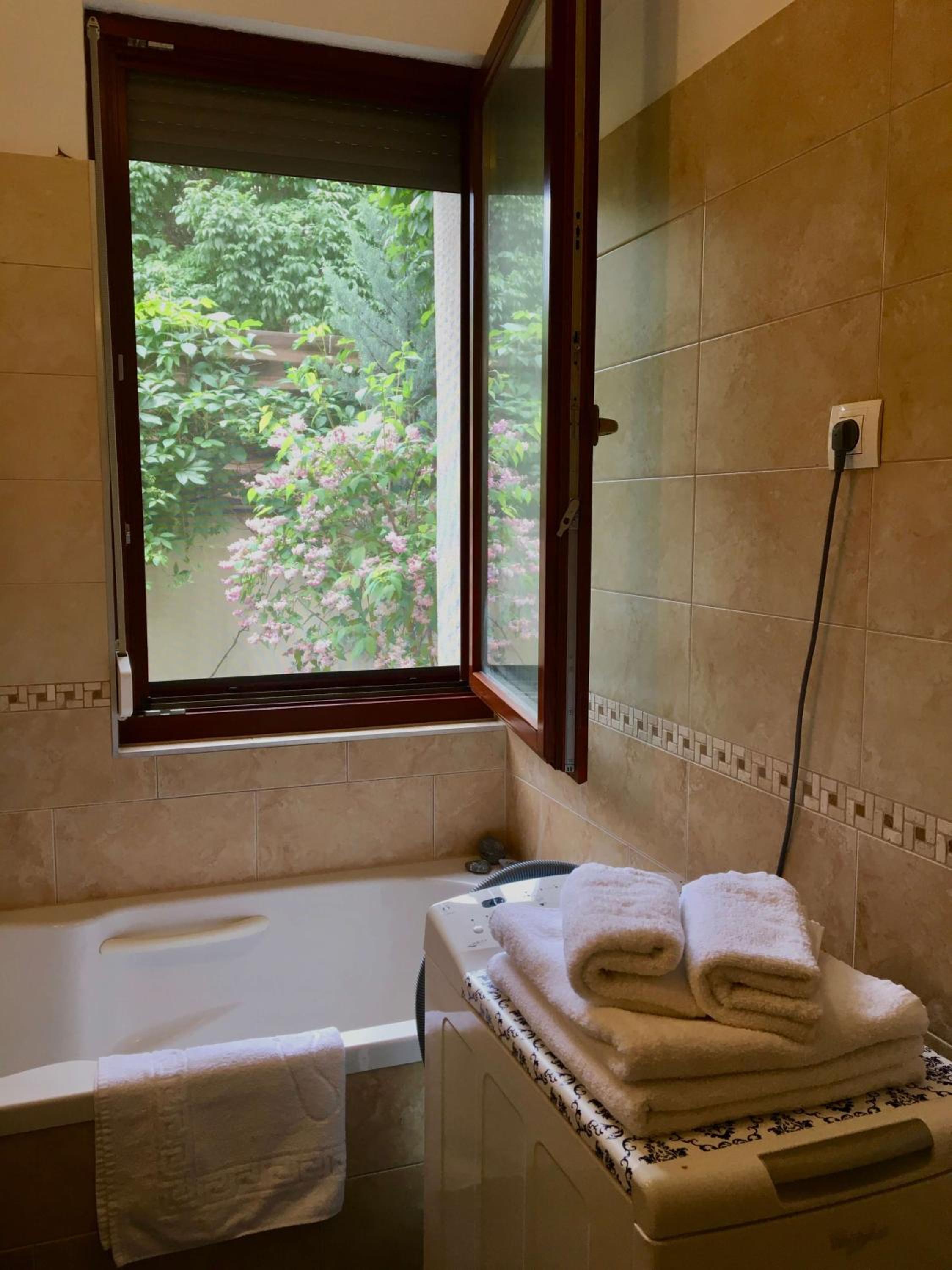 Madarhegy Apartment with garden Buda side, photo 18