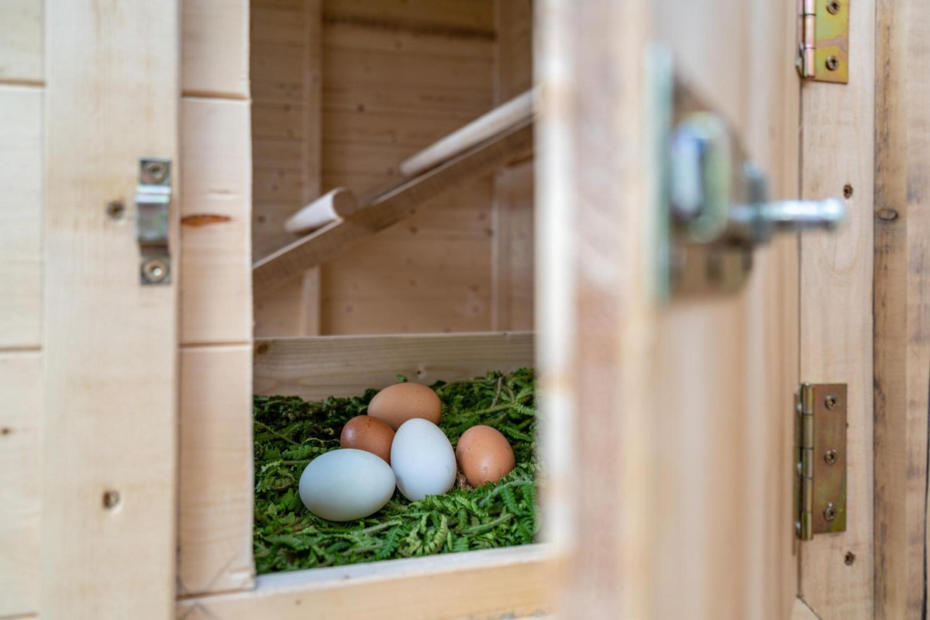 Rotsteinhof Ferienwohnung Abendrot