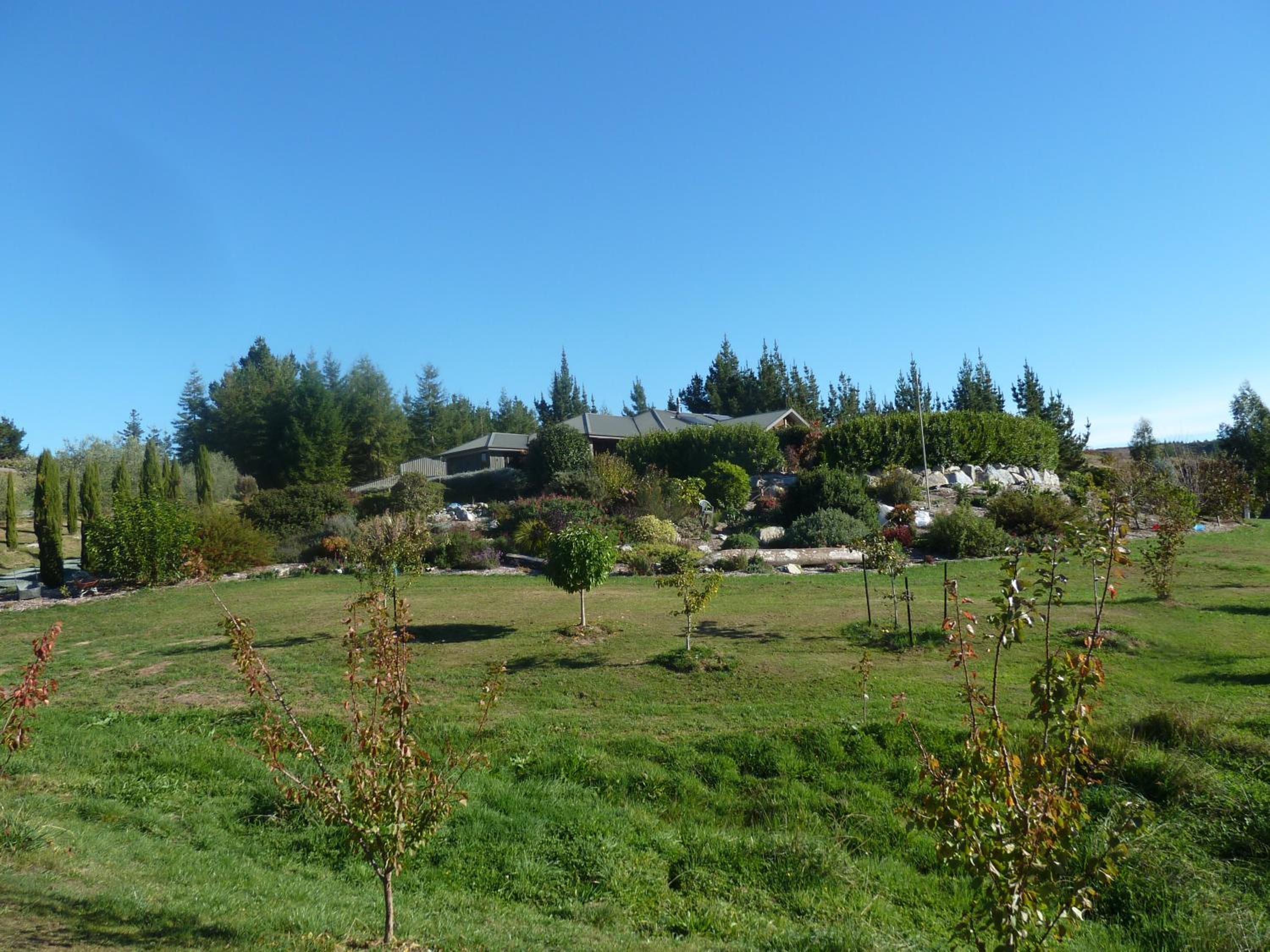 Redwood Valley B & B view 2