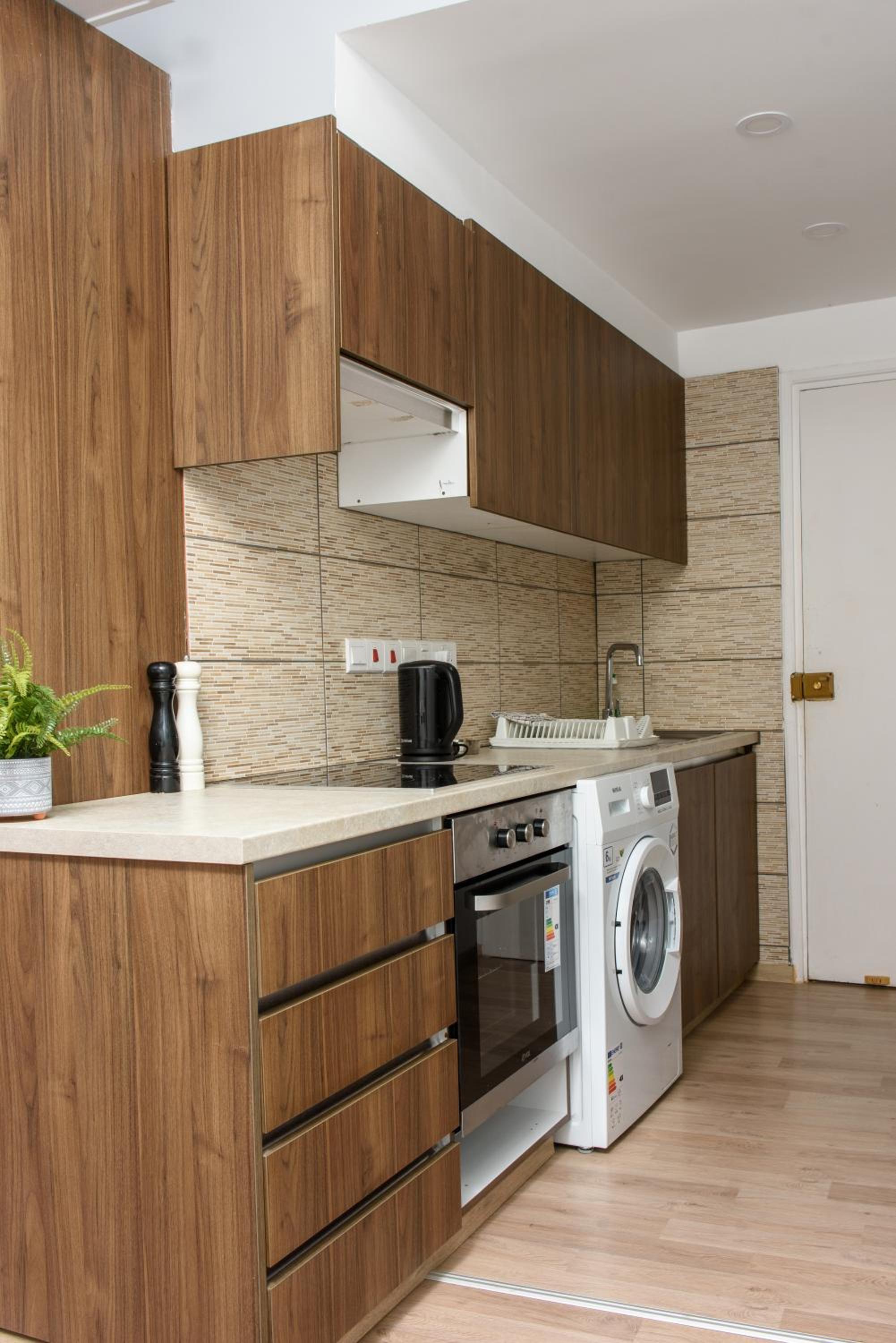 Valdivian Flat 18
