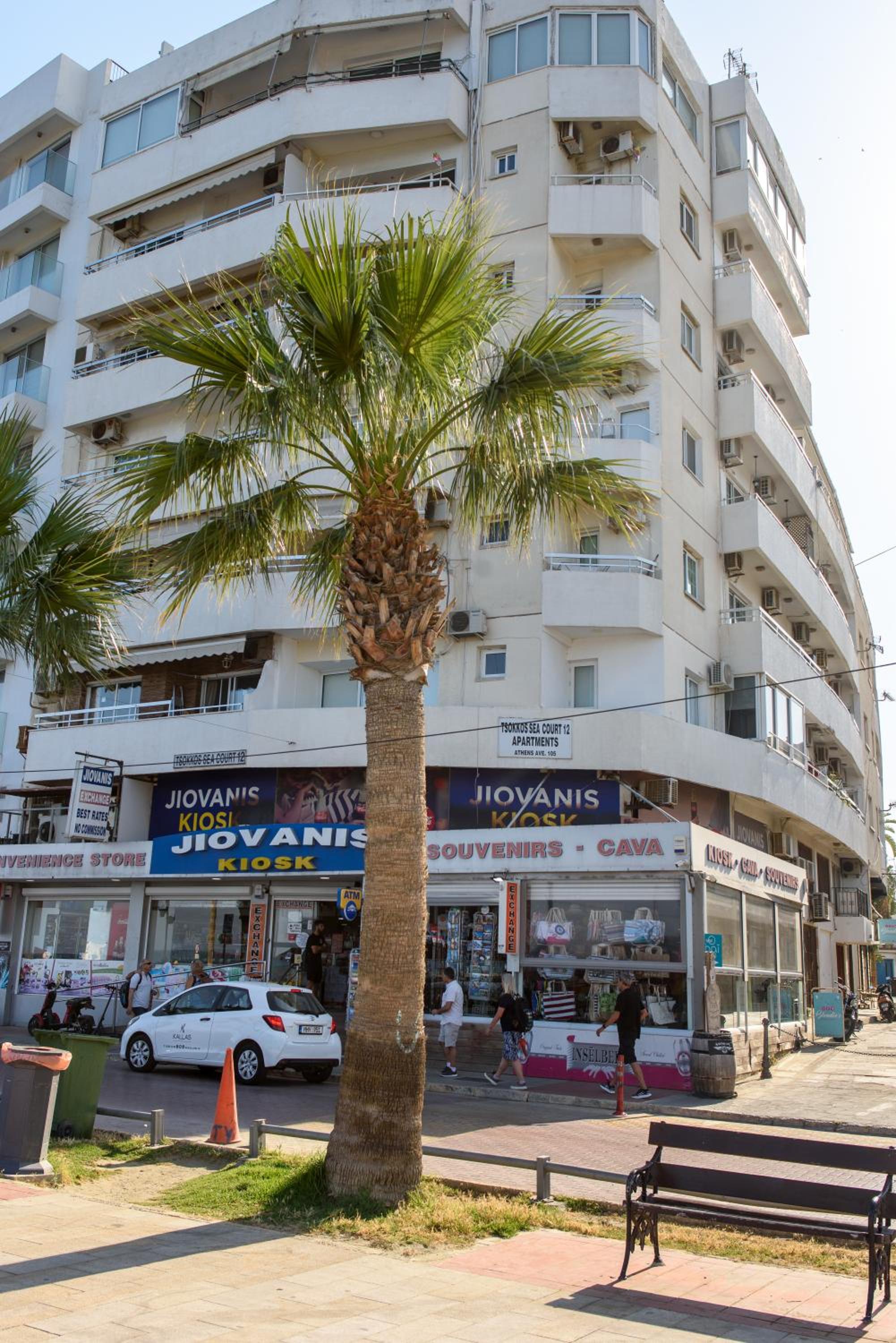 Valdivian Flat 18