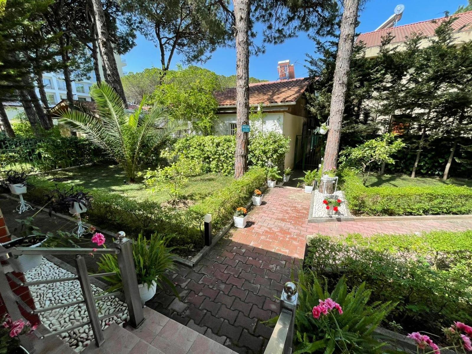 Seafront Villa with a Stunning Garden