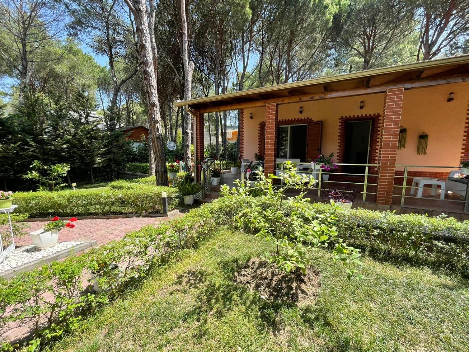 Seafront Villa with a Stunning Garden