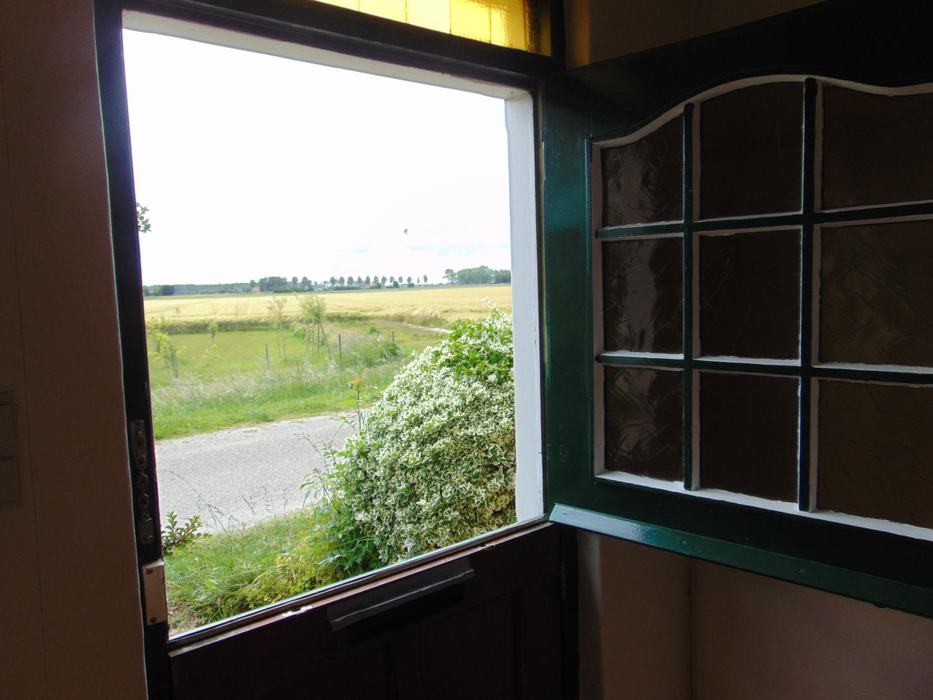 Photo 42