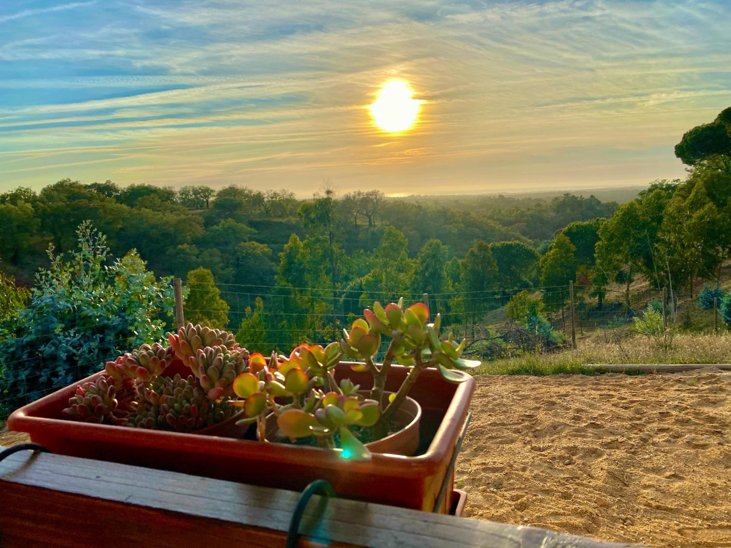 Montum Farm Living