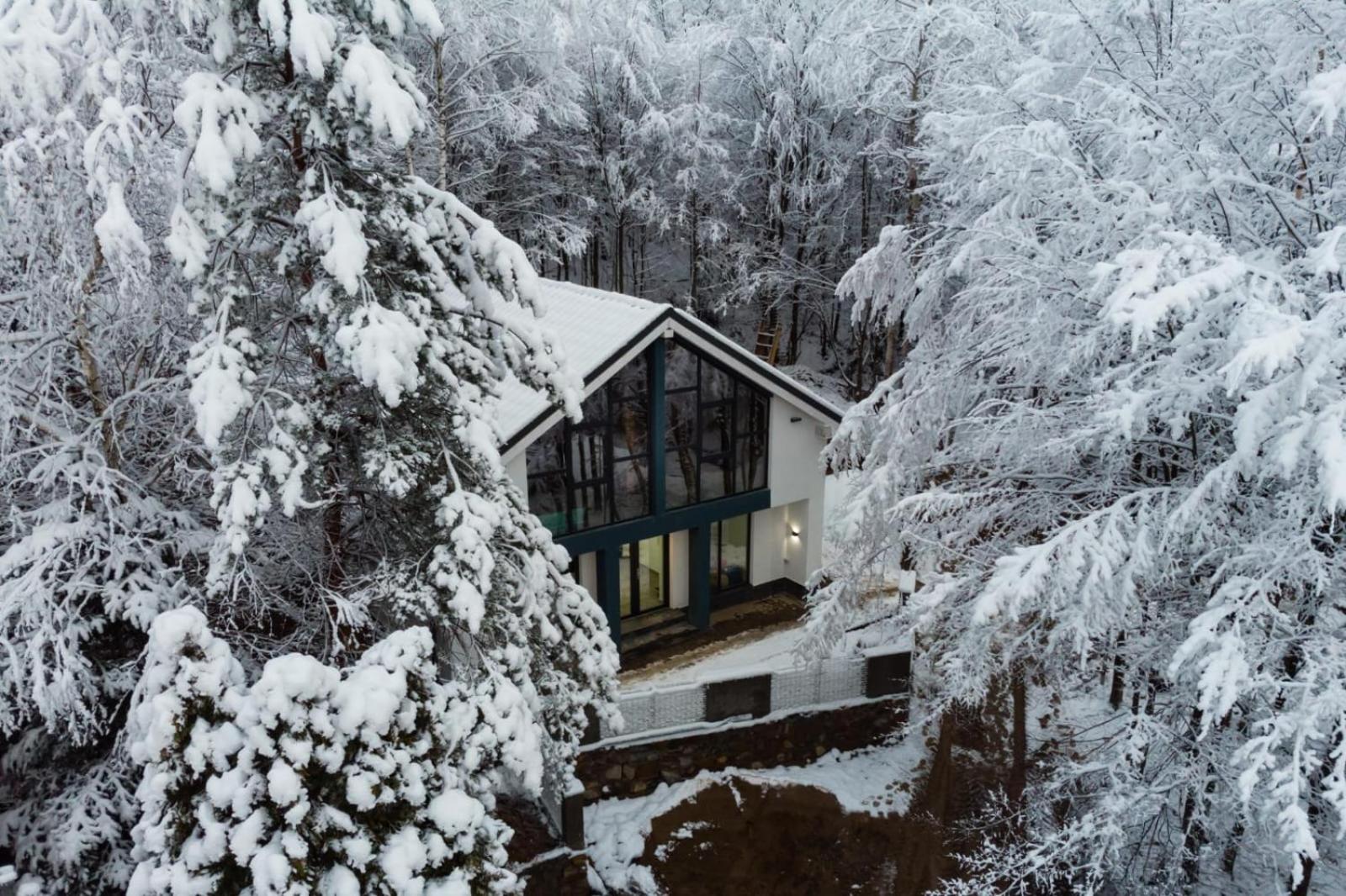 Vila Blanc Valiug Crivaia view 5