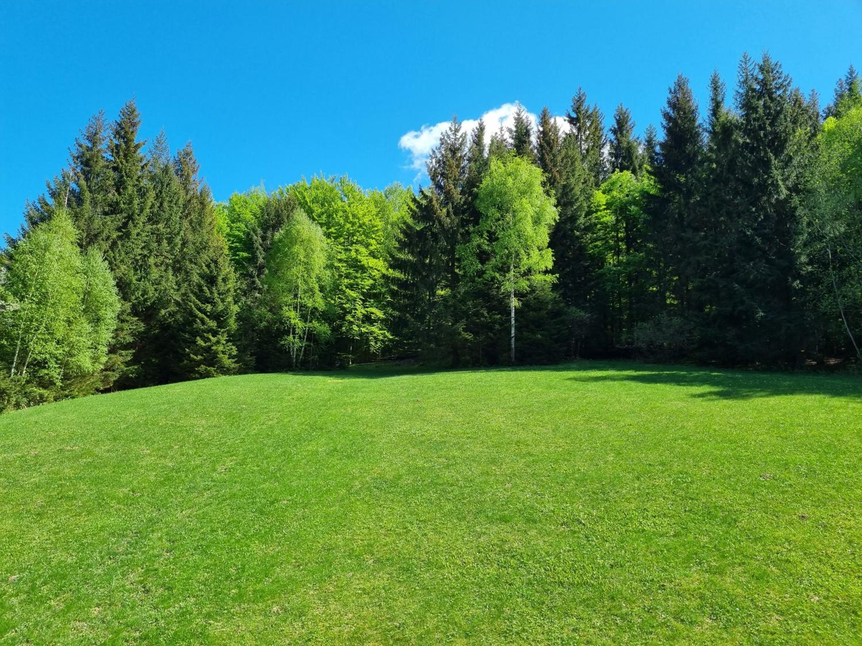Apartmány u Petra
