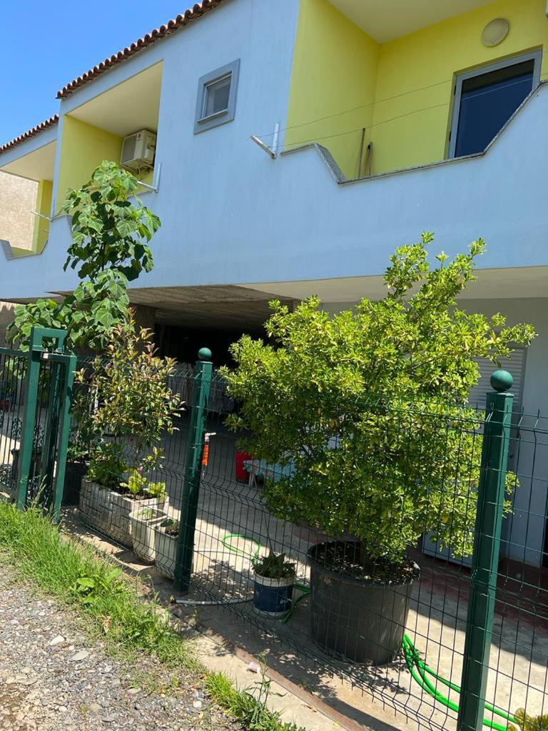 Guest house Andersoni Dhoma plazhi Andersoni, (( Shën Ded Gjoni )) – photo 4