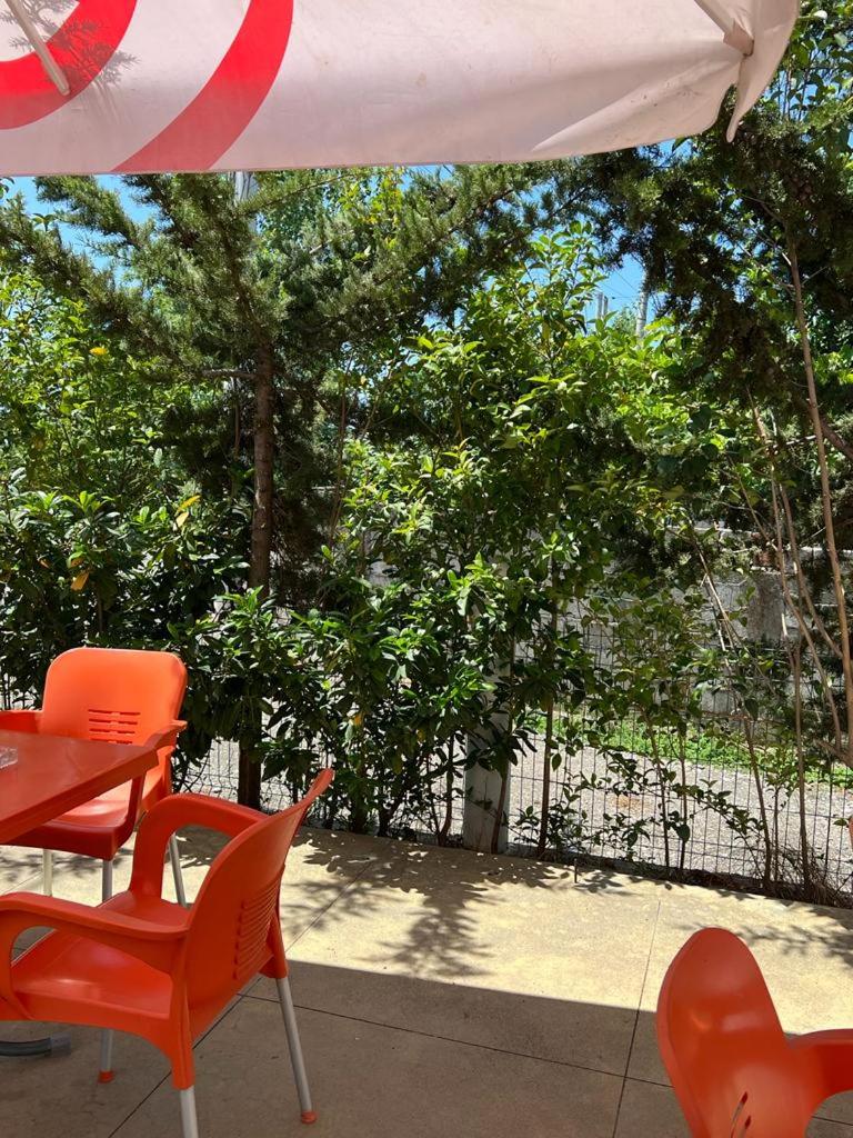 Guest house Andersoni Dhoma plazhi Andersoni, (( Shën Ded Gjoni )) – photo 5