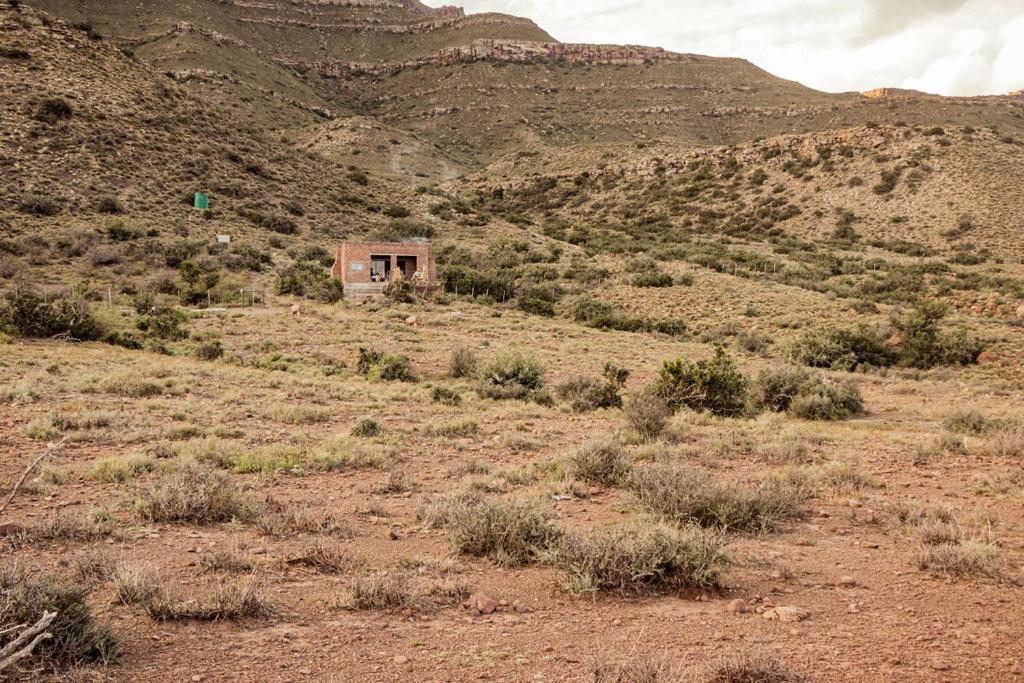Photo 21