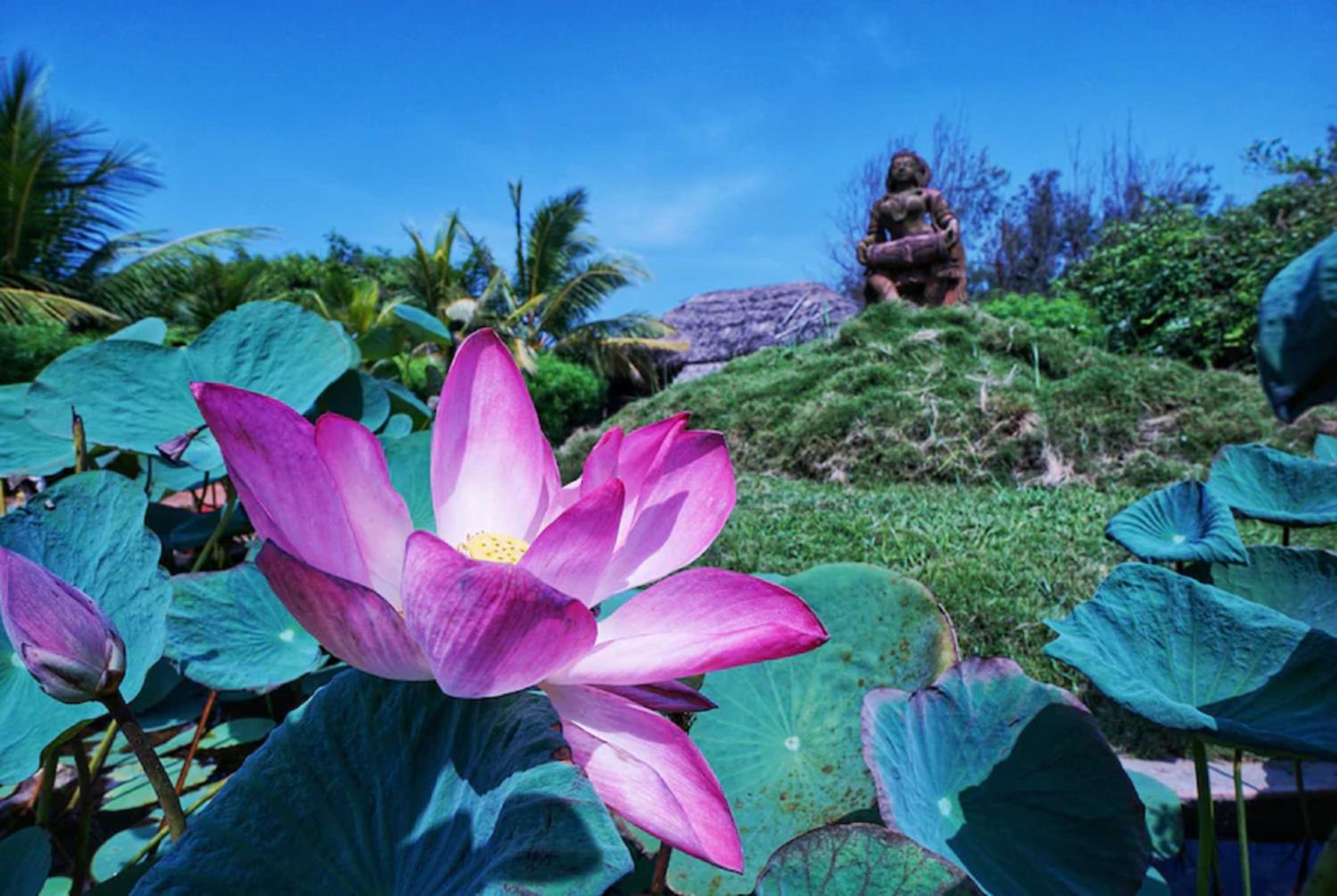 Lotus an Eco Resort Konark