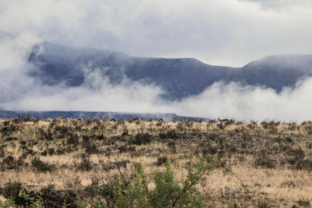 Kalkfontein Guesthouse view 5