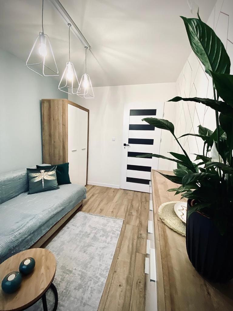 Apartament Króla view 4